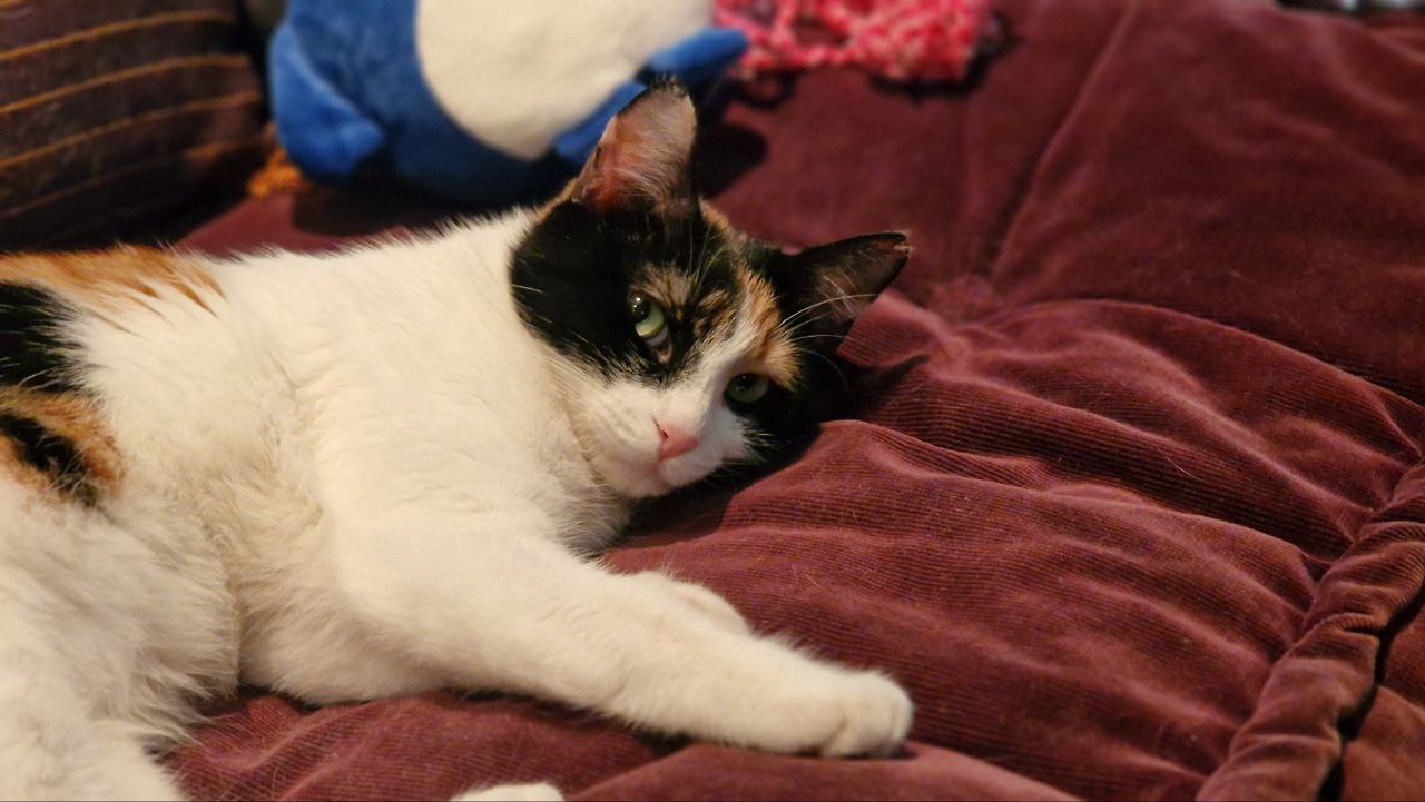 photo_2024-10-23_18-36-41