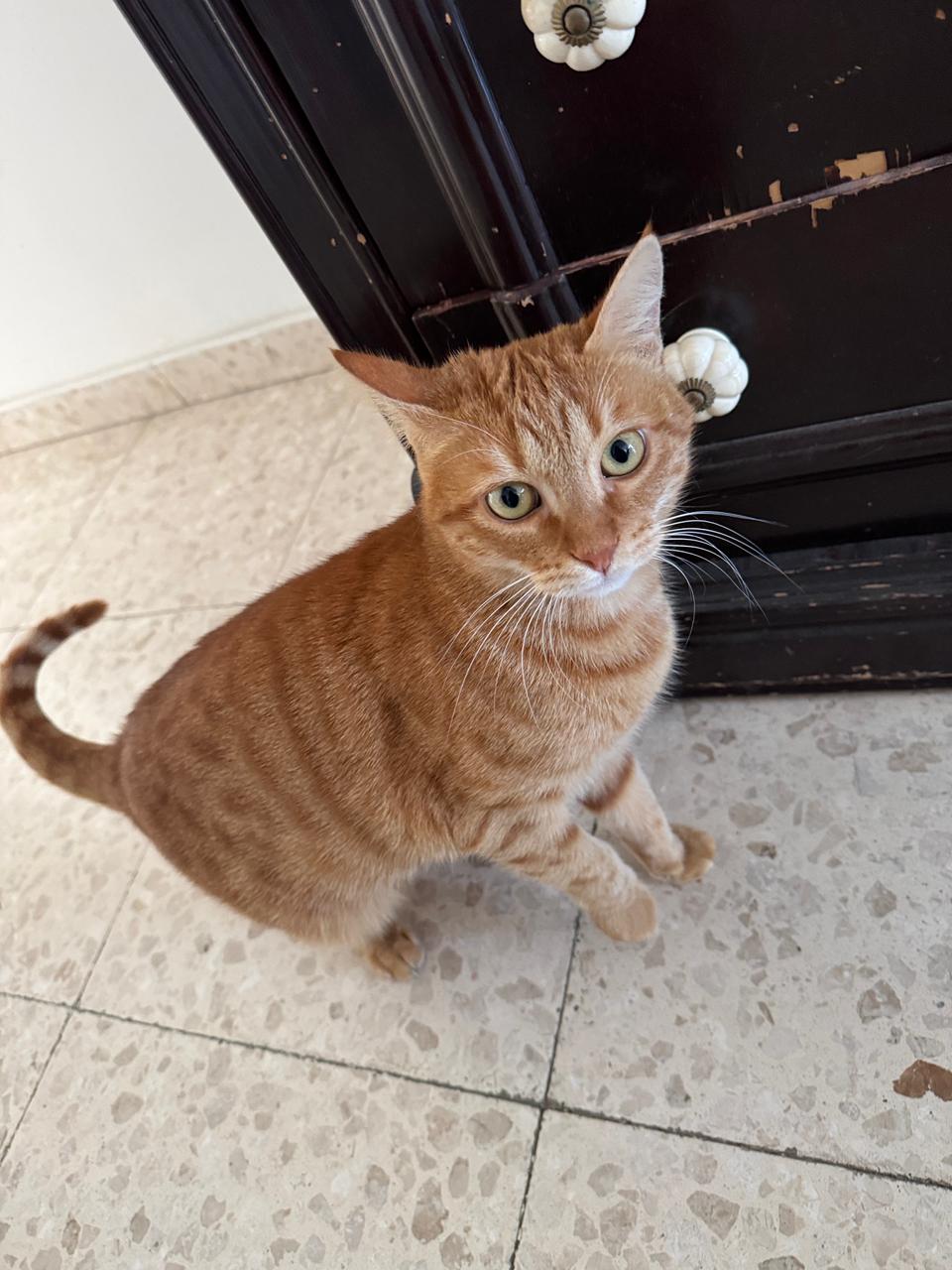 097c8d86-5299-4643-a71e-a840603024e7