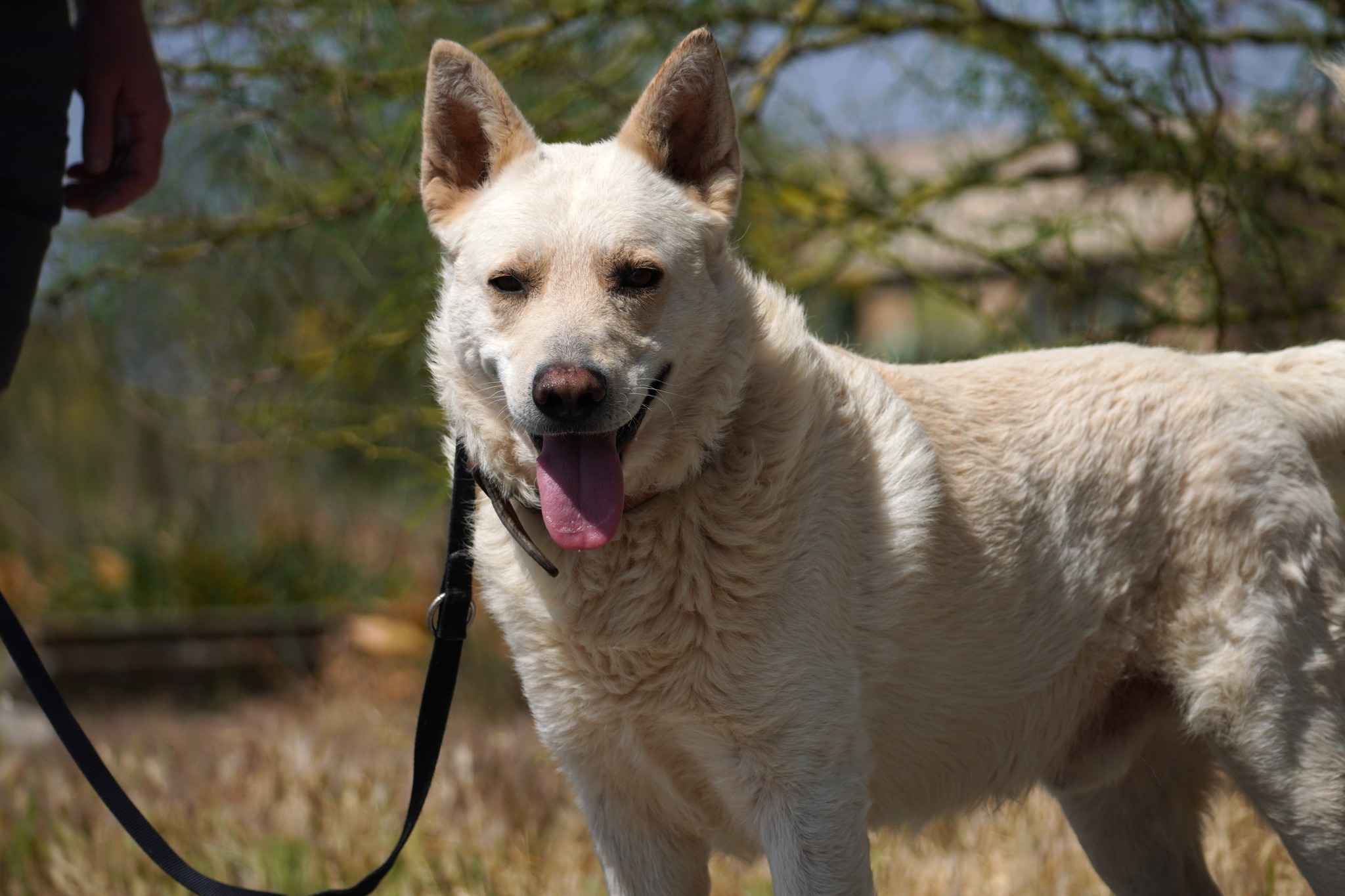 453260620_902785088557144_2882753034690240421_n