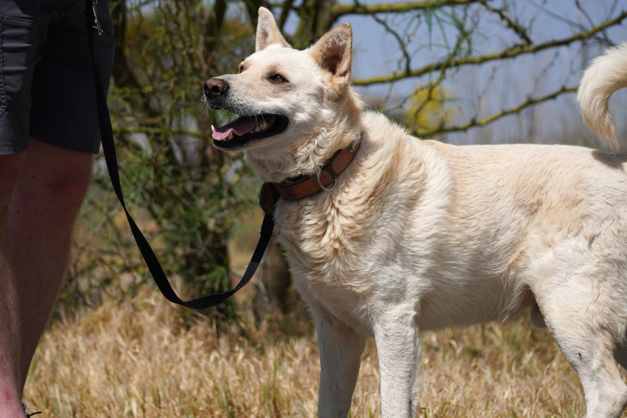 453632615_902784988557154_305932834763143_n