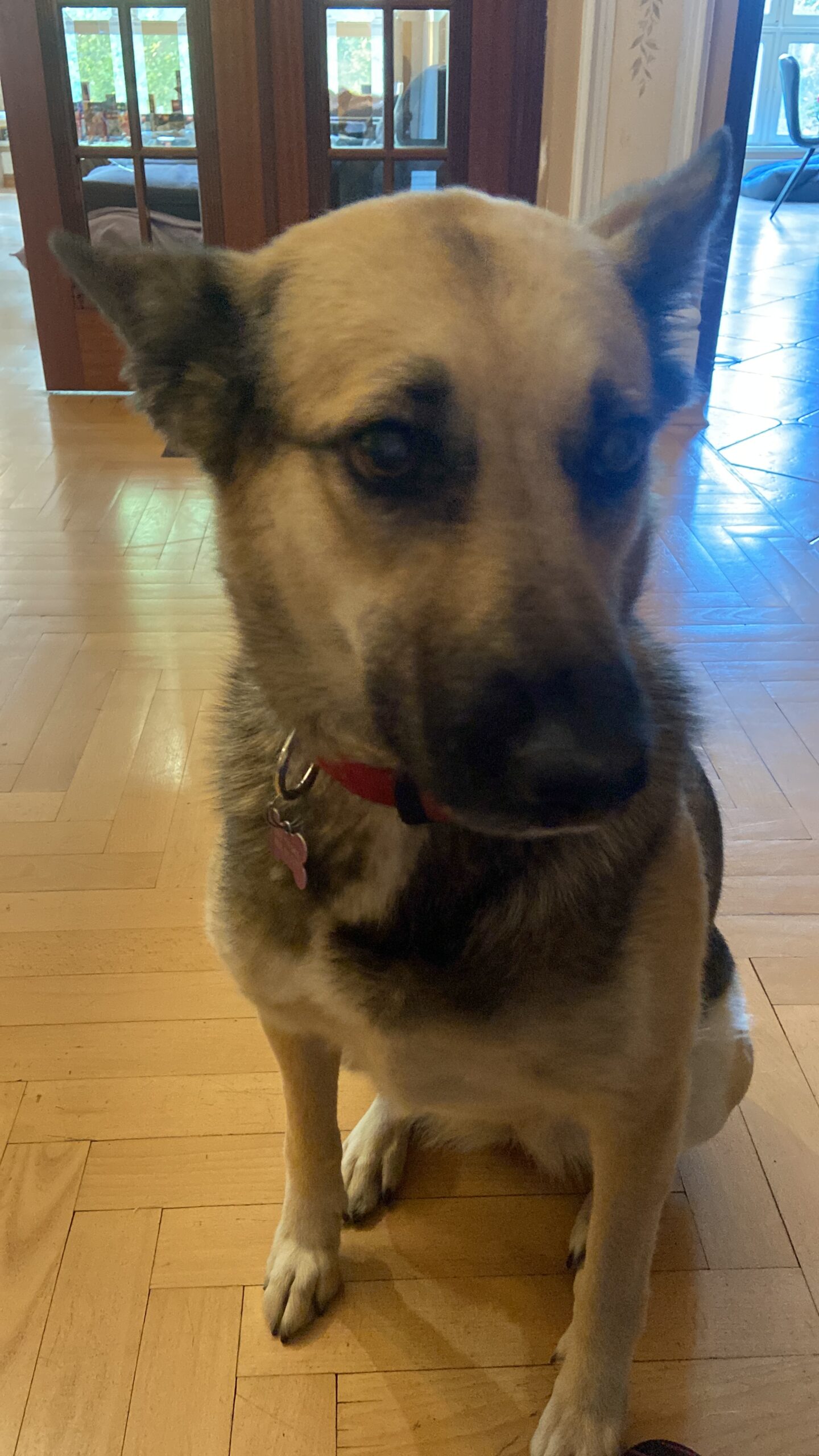 D160135F-A592-400E-ABA1-147080D58487