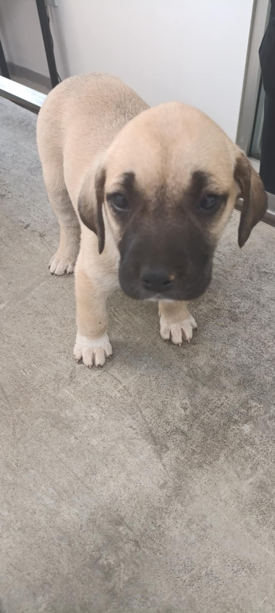 Messenger_creation_8A388849-C82E-4293-9AF9-4D5A526345BC