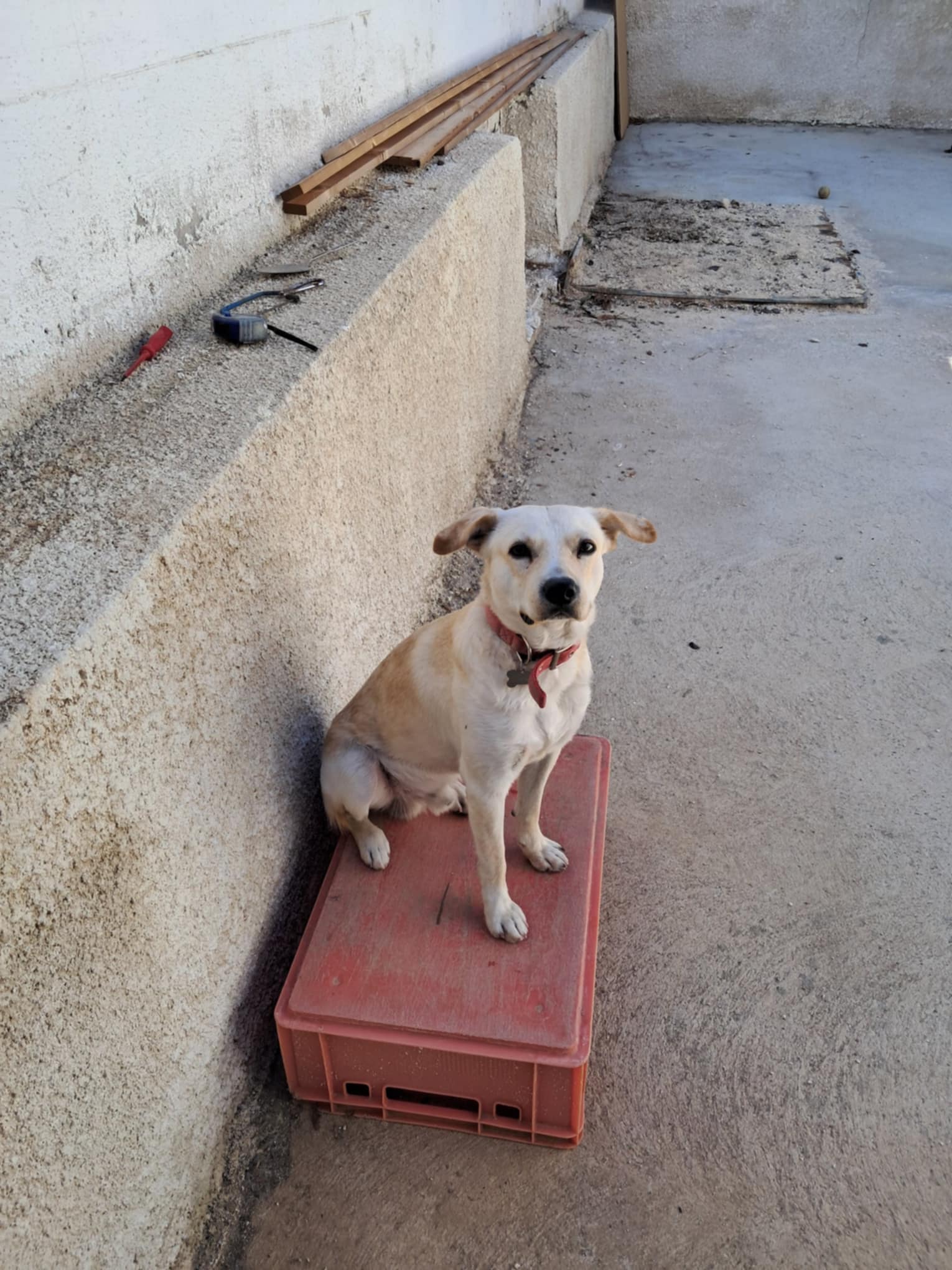 Messenger_creation_C4A299A9-AF57-42D1-816F-E82CA8E0D9BE