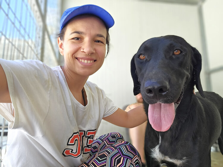 Sally-labrador-pointer-5