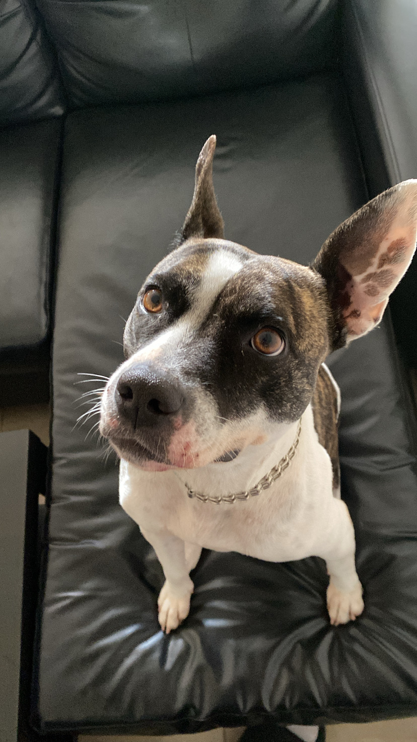 1283A85E-CB2F-4545-8BC5-0160E7A8E457