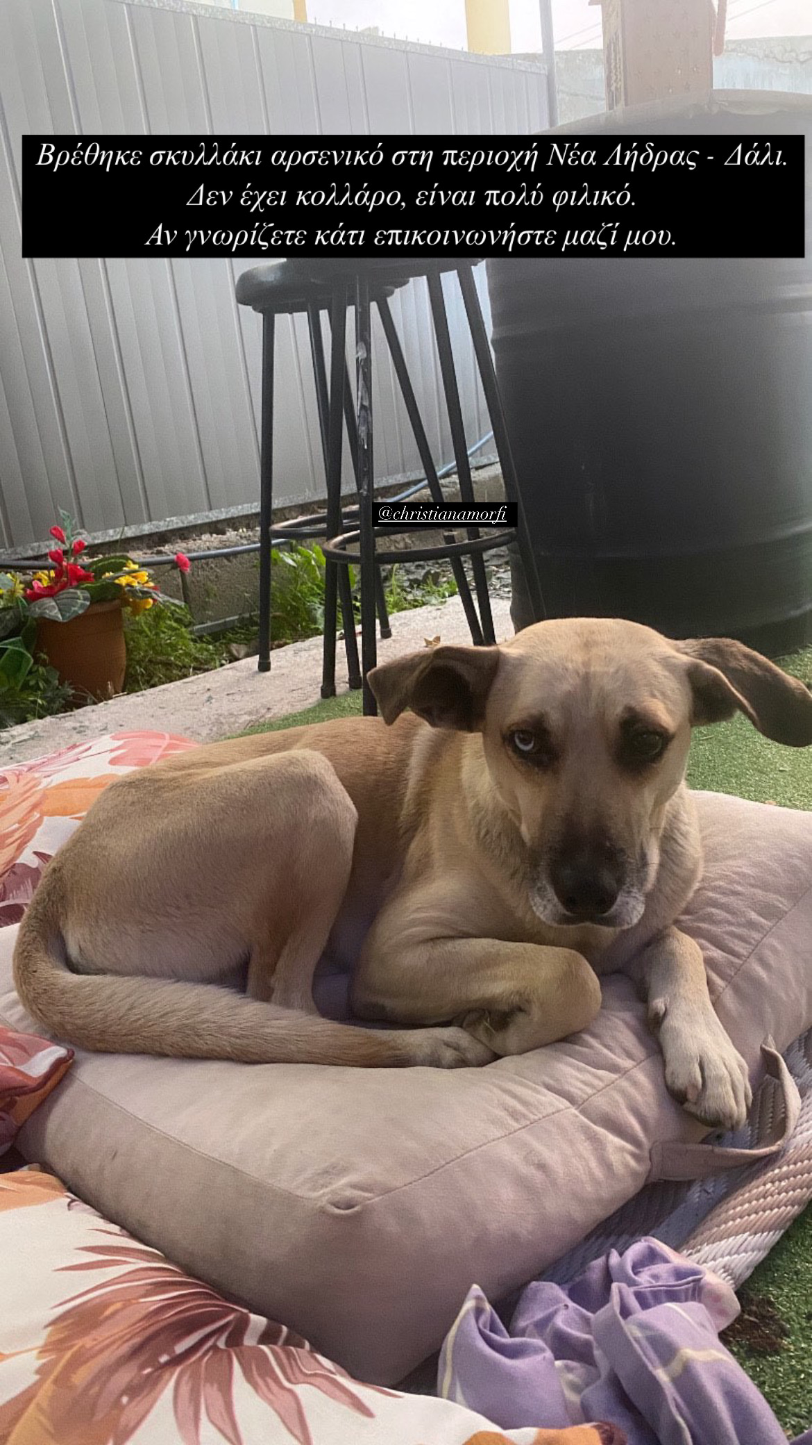 794FA7FE-58D7-47D4-8FB5-62A6A4367F27