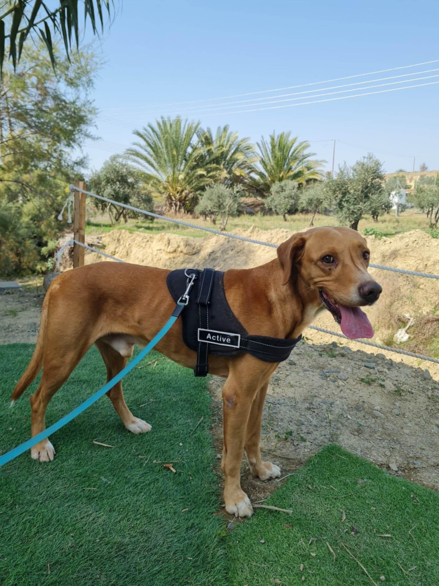 Messenger_creation_1FD9A631-97A7-4B7F-A961-F2C05845B8D4