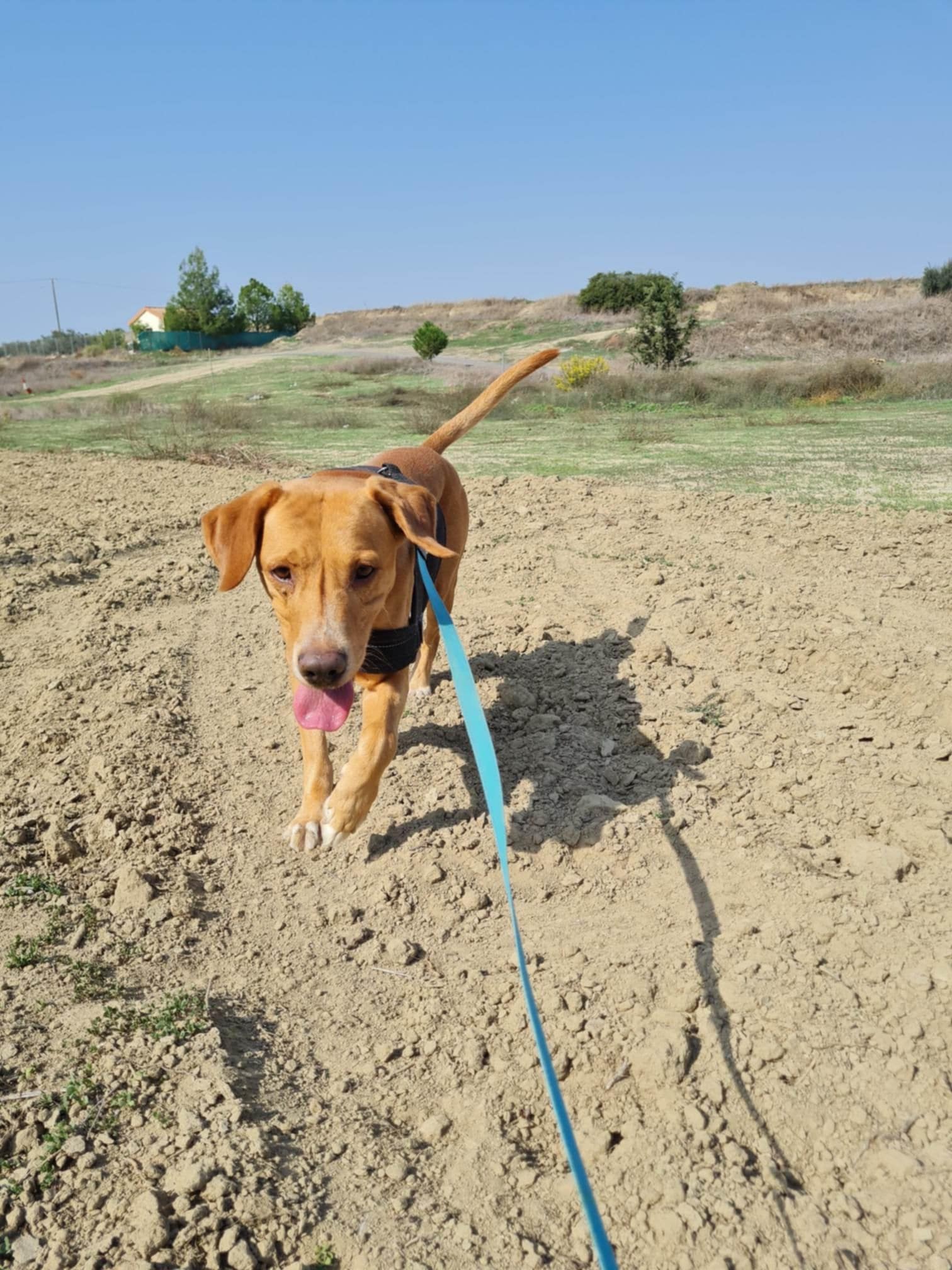 Messenger_creation_381D650E-FB55-44A8-AACC-93E55F235904