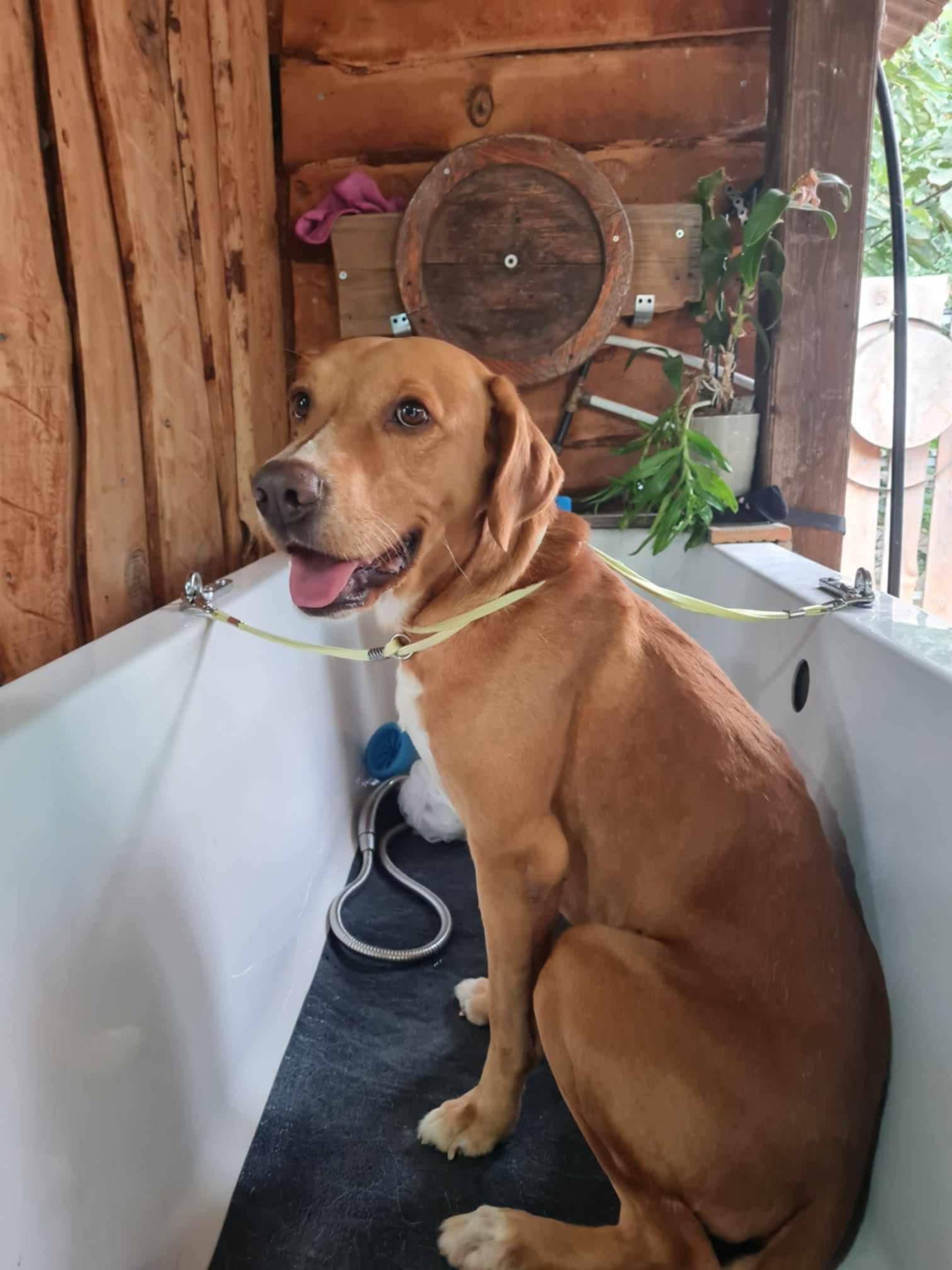 Messenger_creation_6D1E24AC-E31B-476C-A07F-42368B02F737