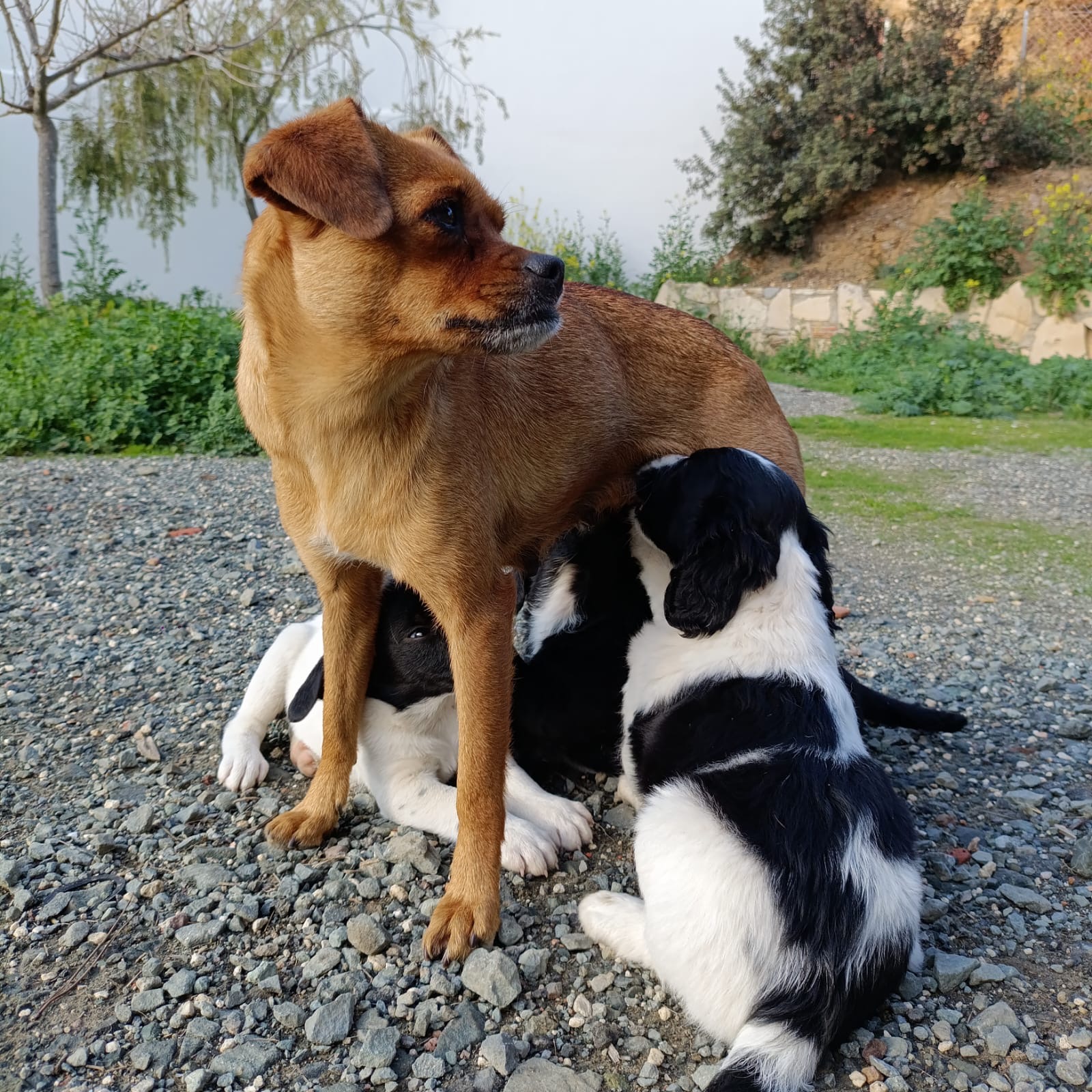 0a1e5f08-a3b4-4976-a380-cd087f7de3cd