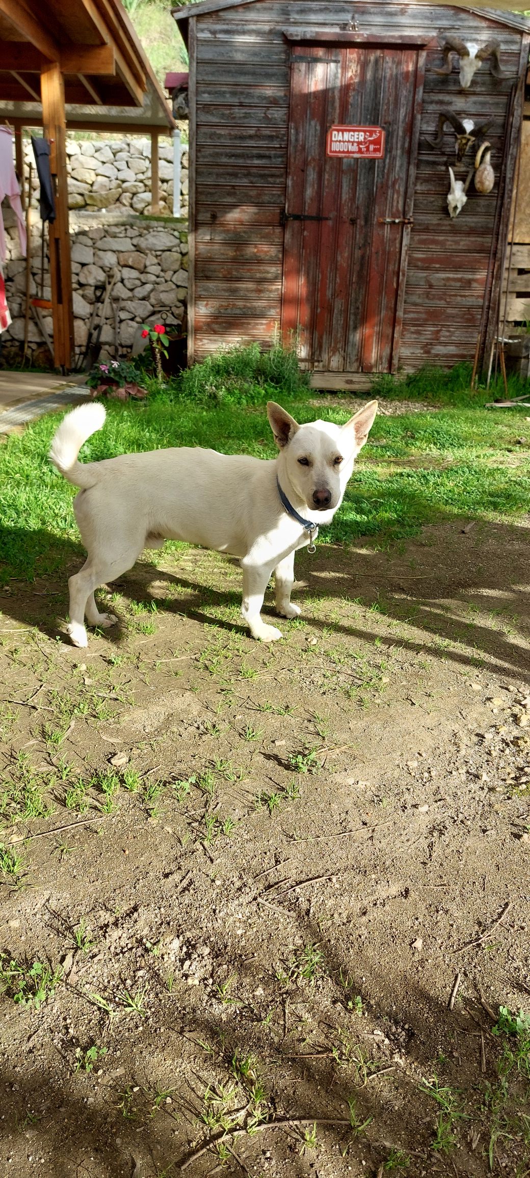 473679558_4004468569875201_7837575065387356156_n