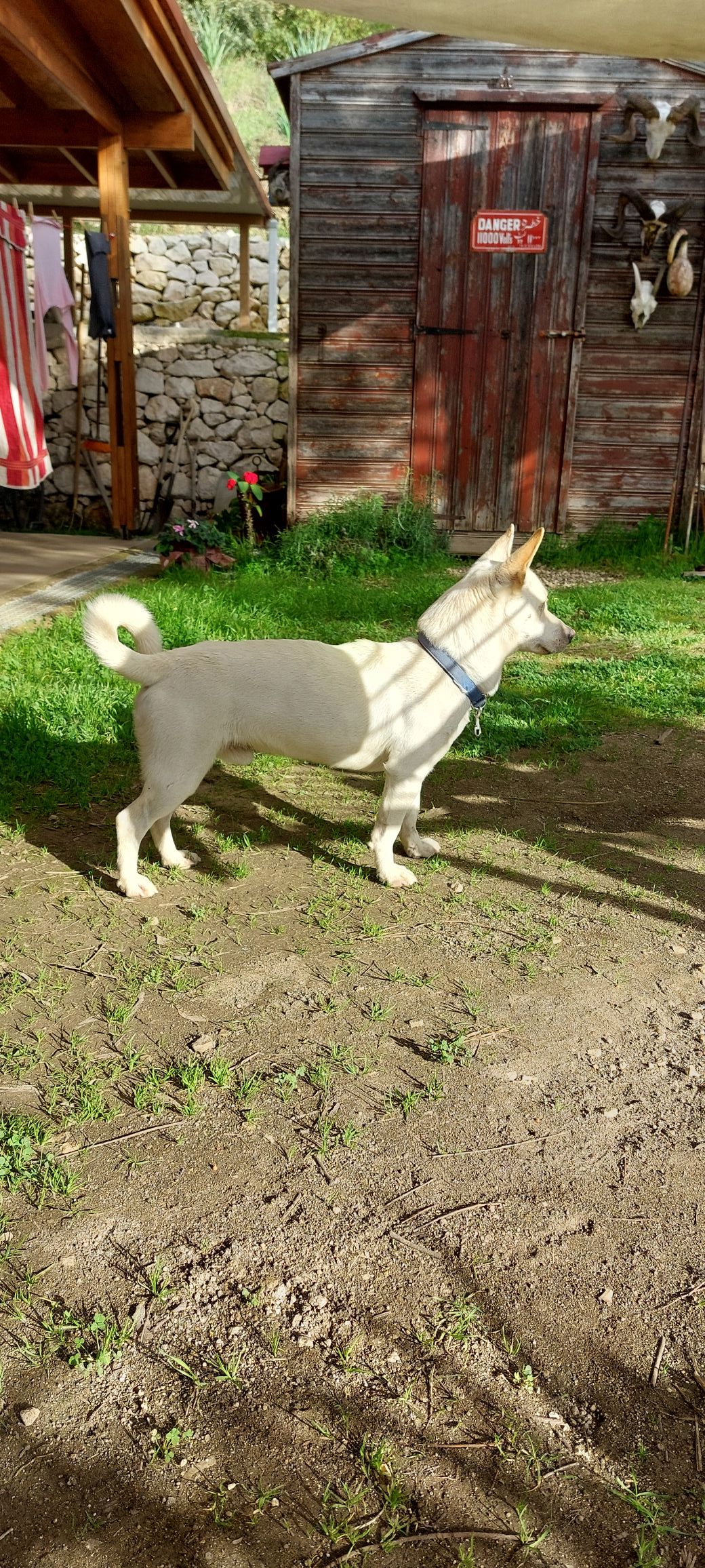 473731326_4004468596541865_6299747115262527196_n