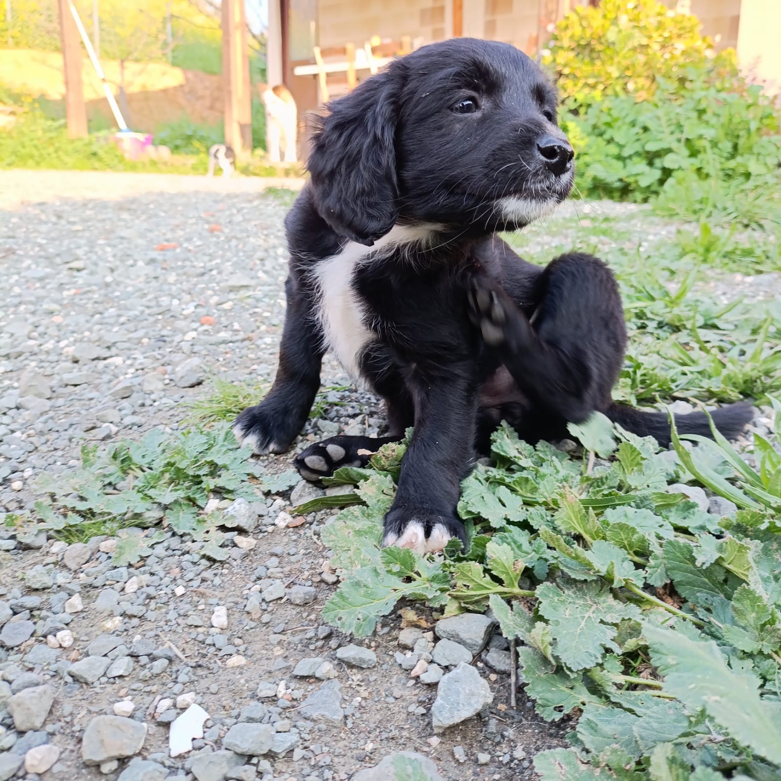 944904ba-8943-40cc-888c-658369ba1ed7