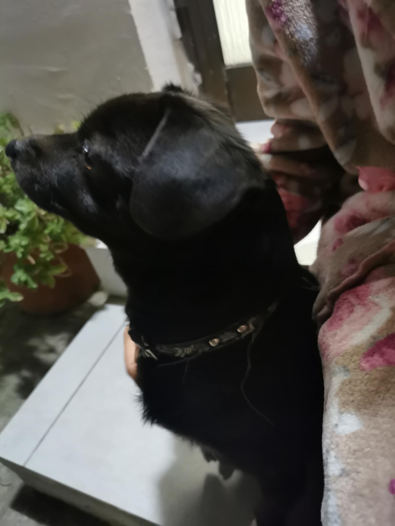 Messenger_creation_11cc971b-df48-463b-af37-c6df0770fd36-1