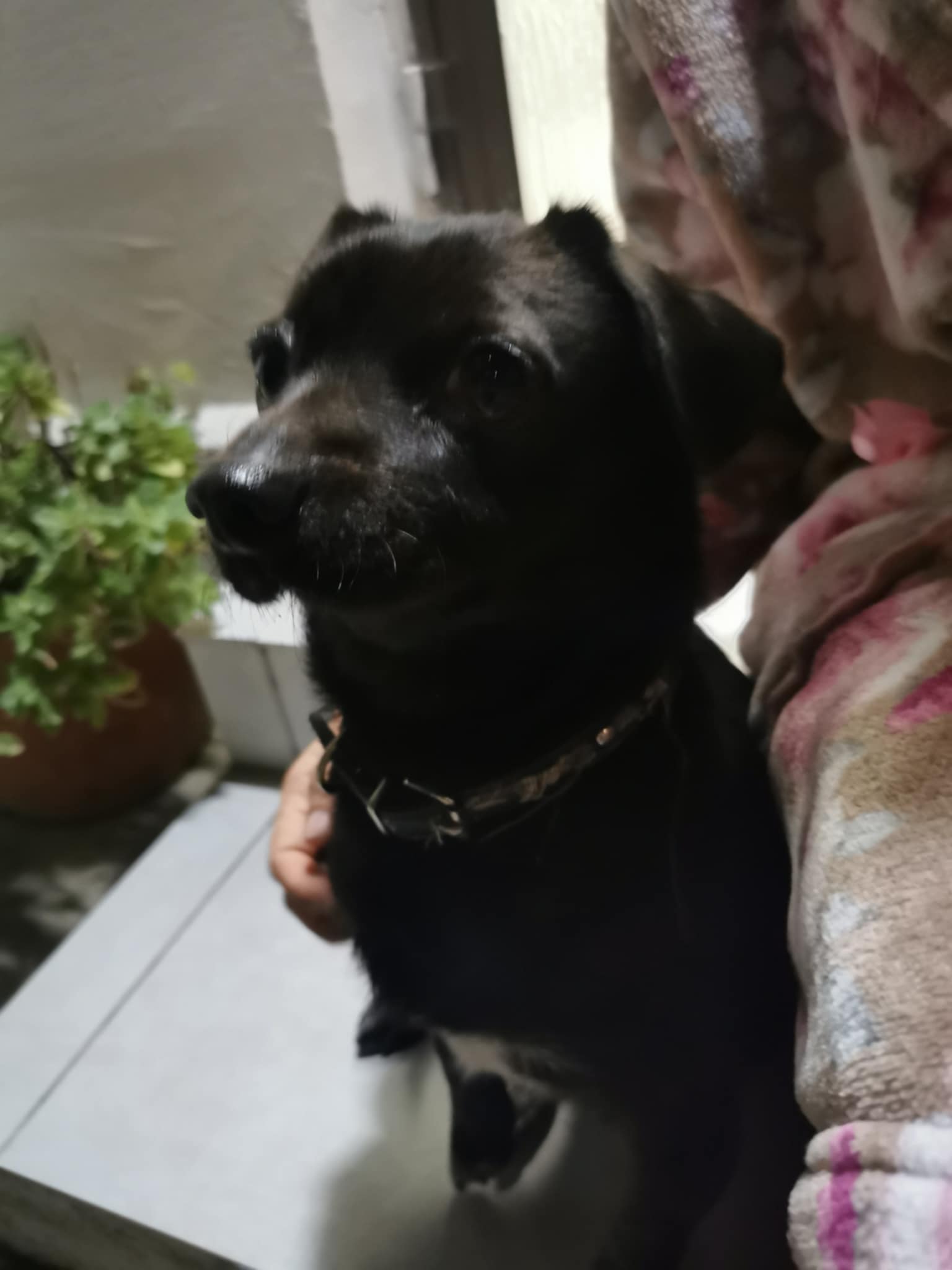 Messenger_creation_33875dd7-d65b-469f-98ce-e50ee9e08fed