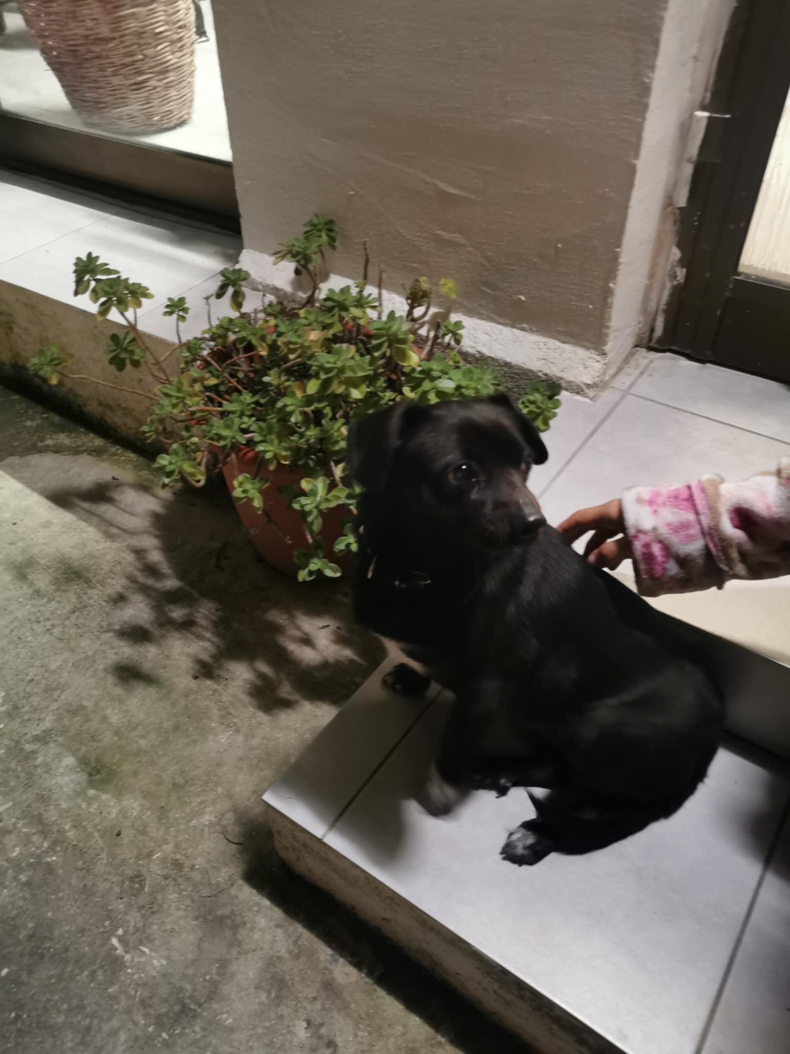 Messenger_creation_e9eb70b6-25fe-4885-981c-54728e2844b9