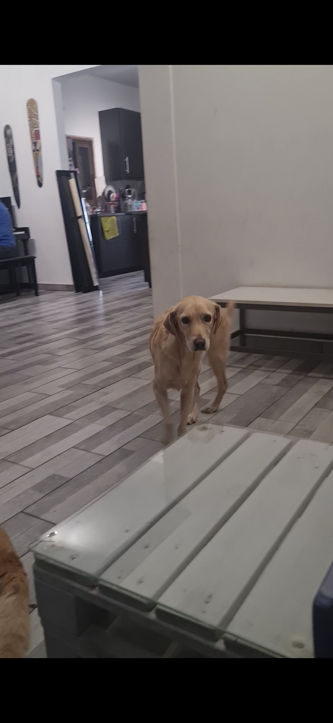 Screenshot_20250120_013849_Gallery