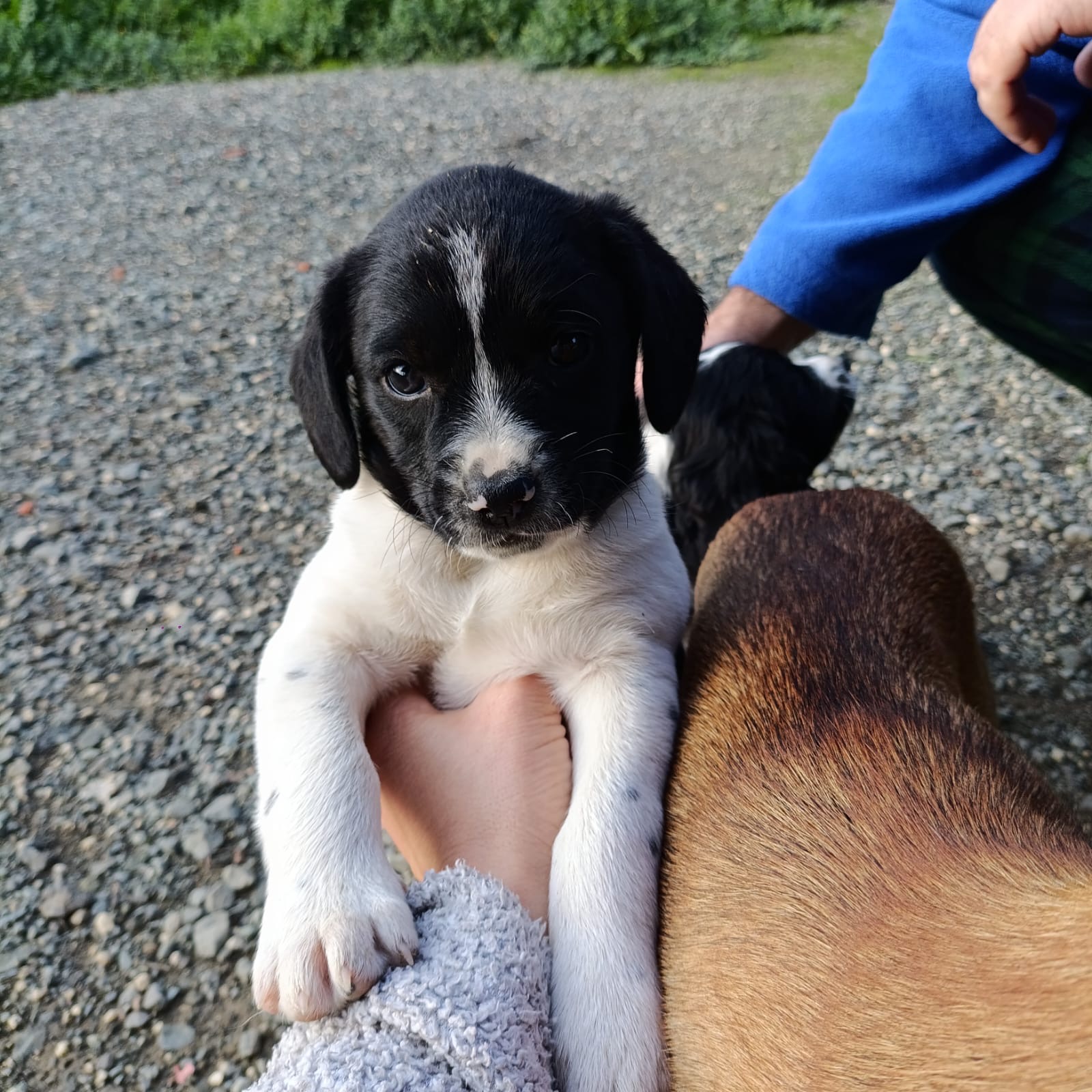 b37f7551-749f-4dfd-a94f-b0437db441b7