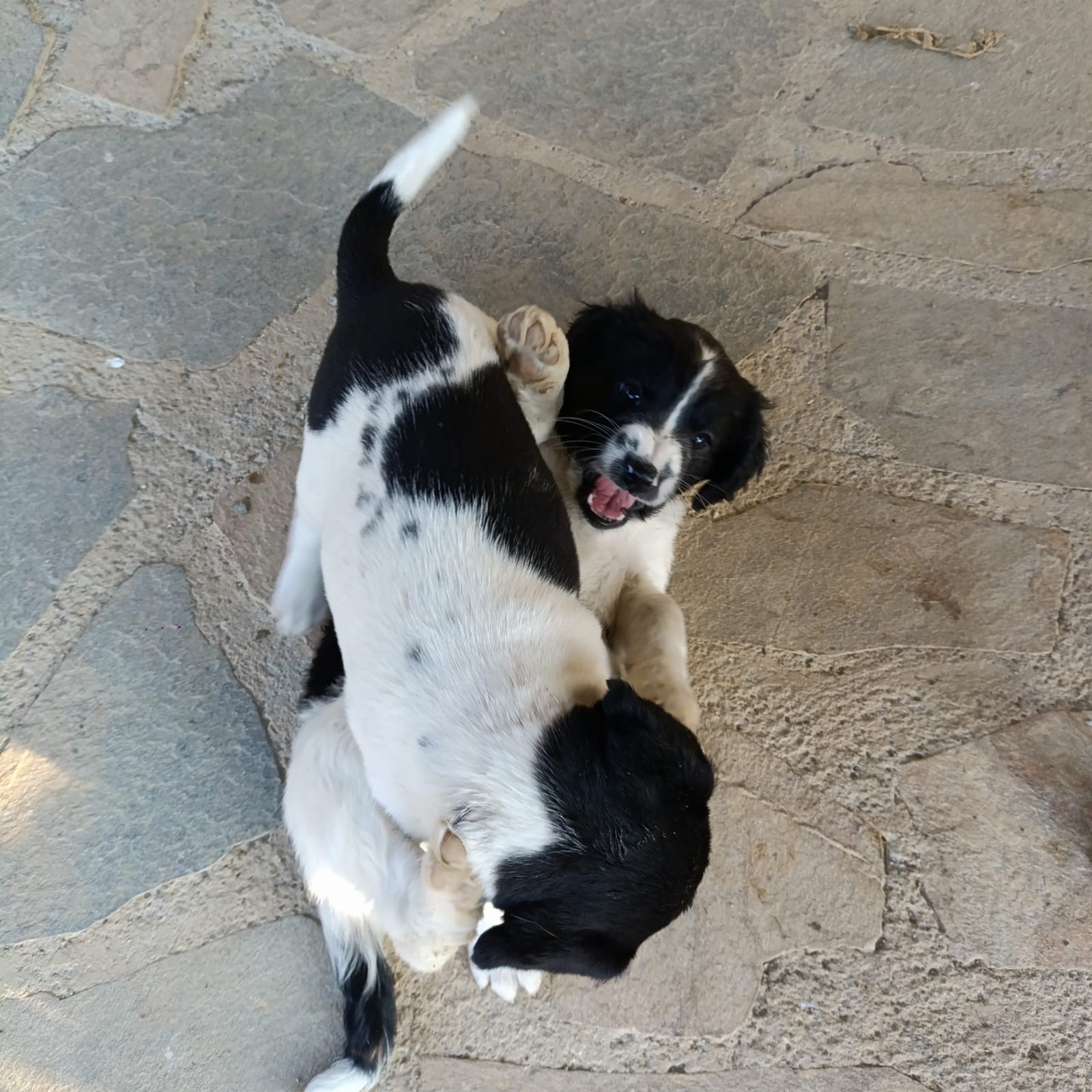 cd82e3fd-9f69-4195-8e9f-26a4e5f568d9