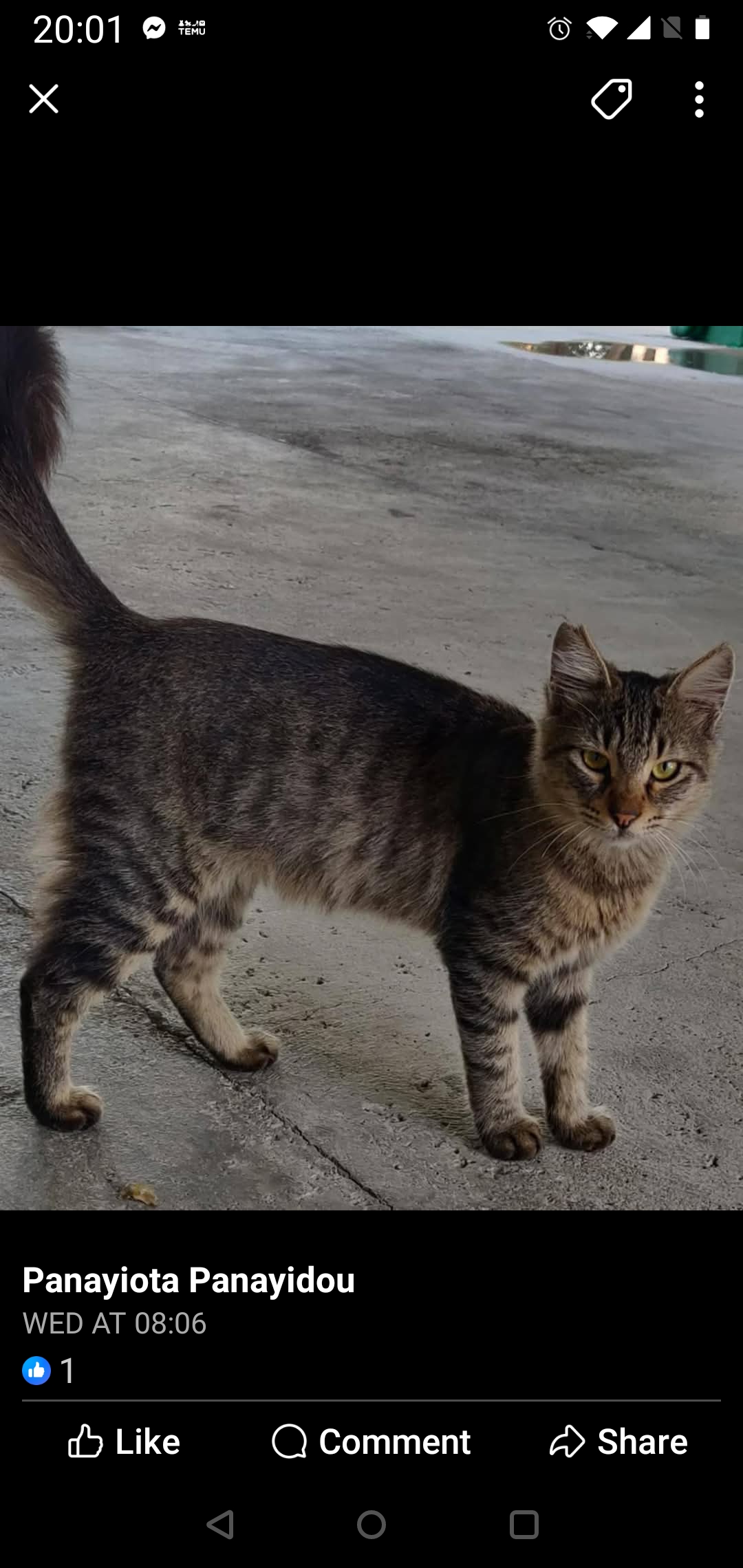 inbound3113644385725050711