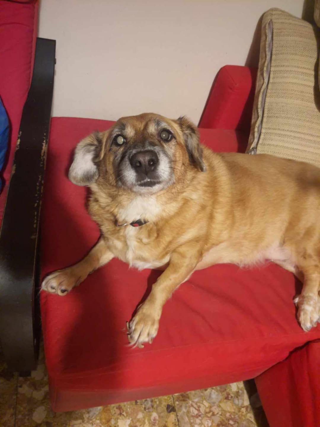 3af9ef04-86c5-4423-b839-d3c30eddc4fd