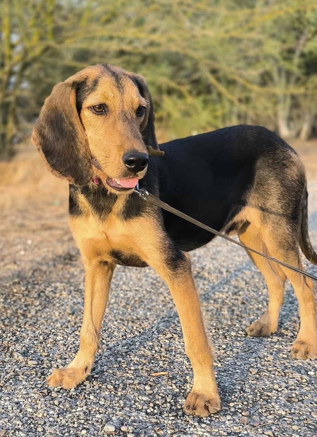 475769269_1037617765073875_4572287389299905344_n