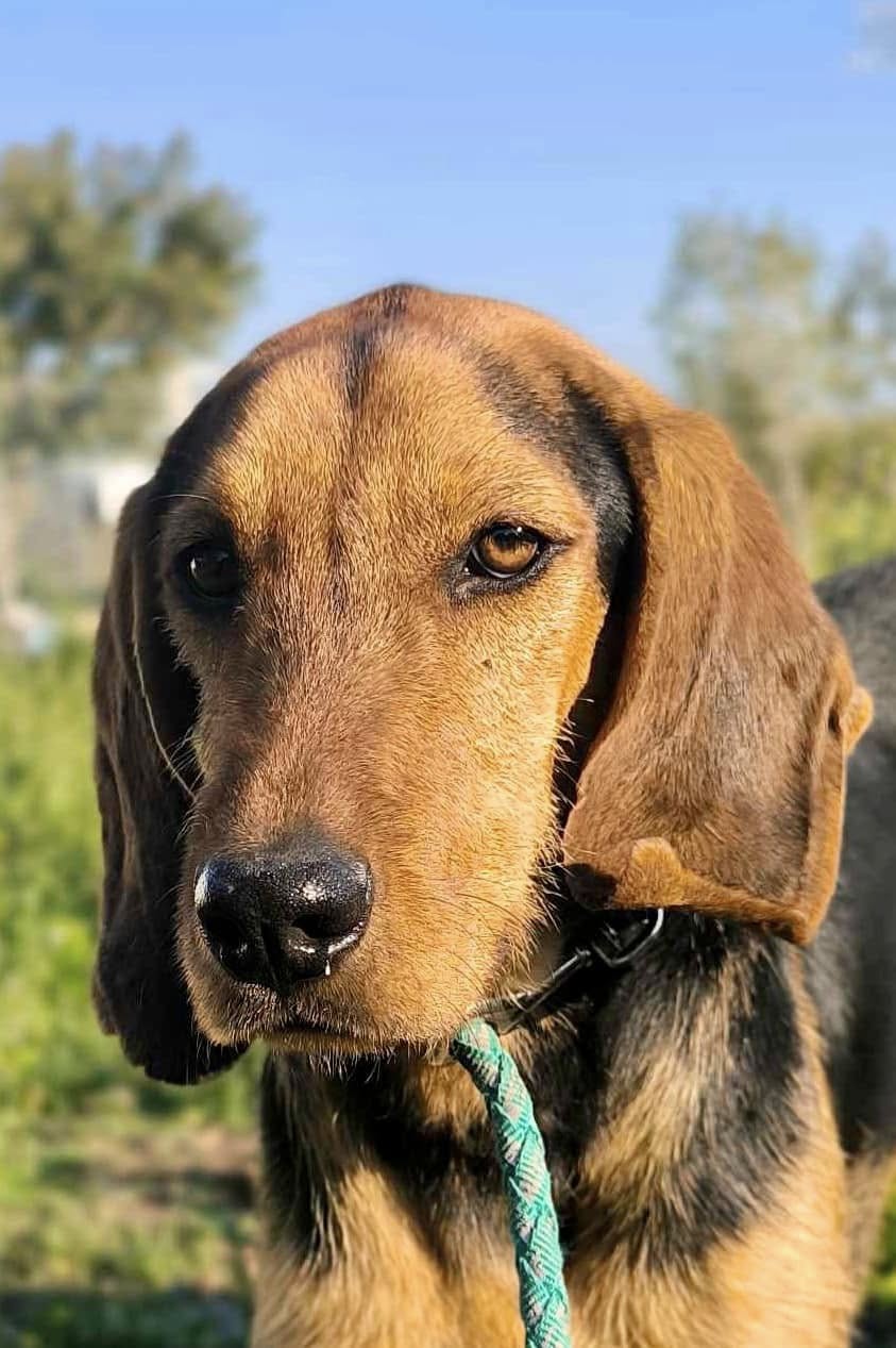 475814121_1037617718407213_2461096926307106121_n