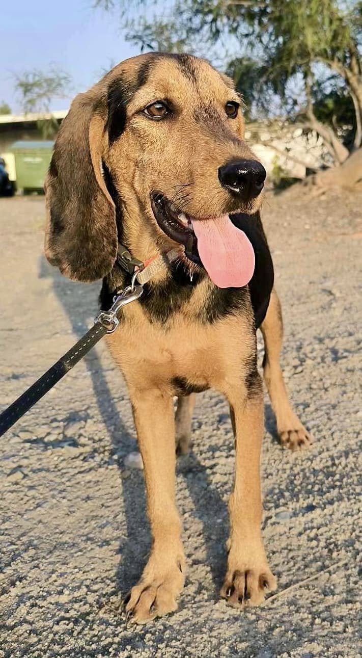 475853832_1037617771740541_8475917735795446502_n