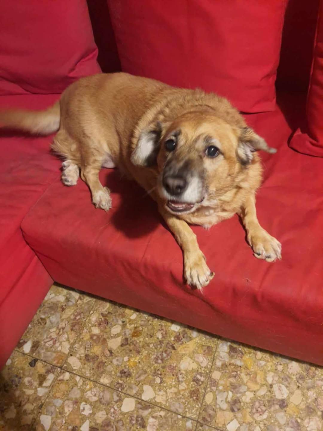 e9449365-97a2-4dcf-9545-15b187188e47