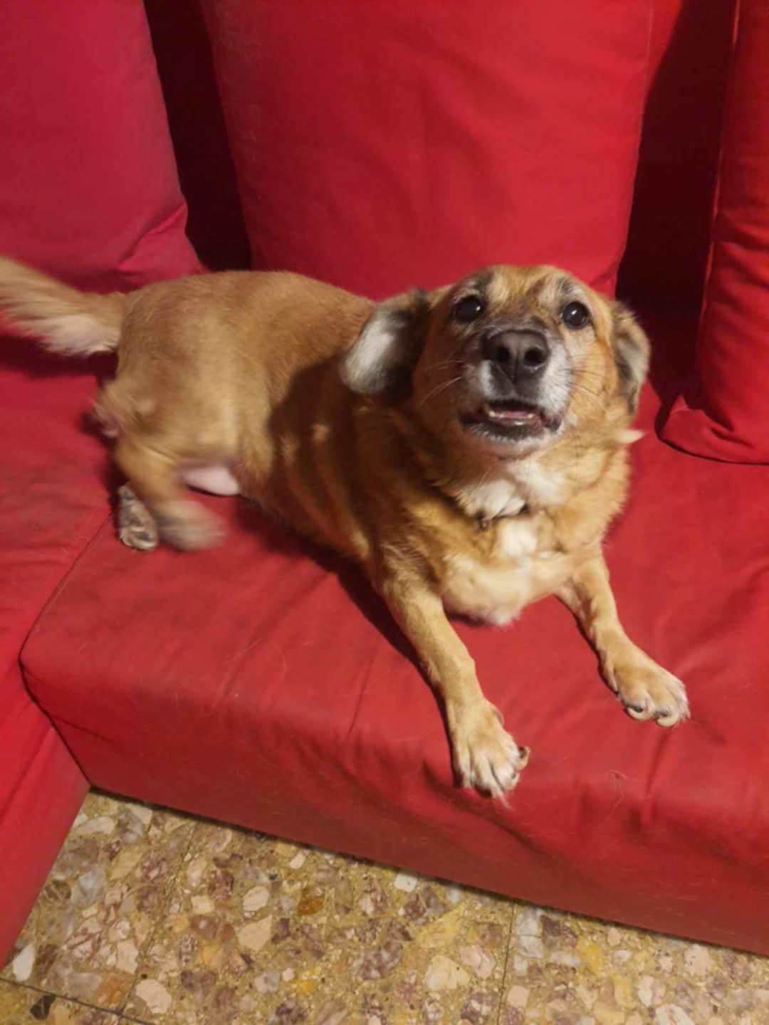 f4a40066-a412-4153-9970-21650751332b