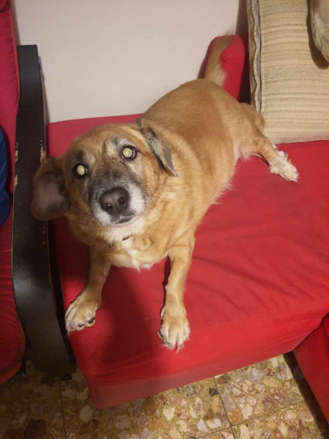 f555a128-6870-4d6d-9d45-f1294f99c05b