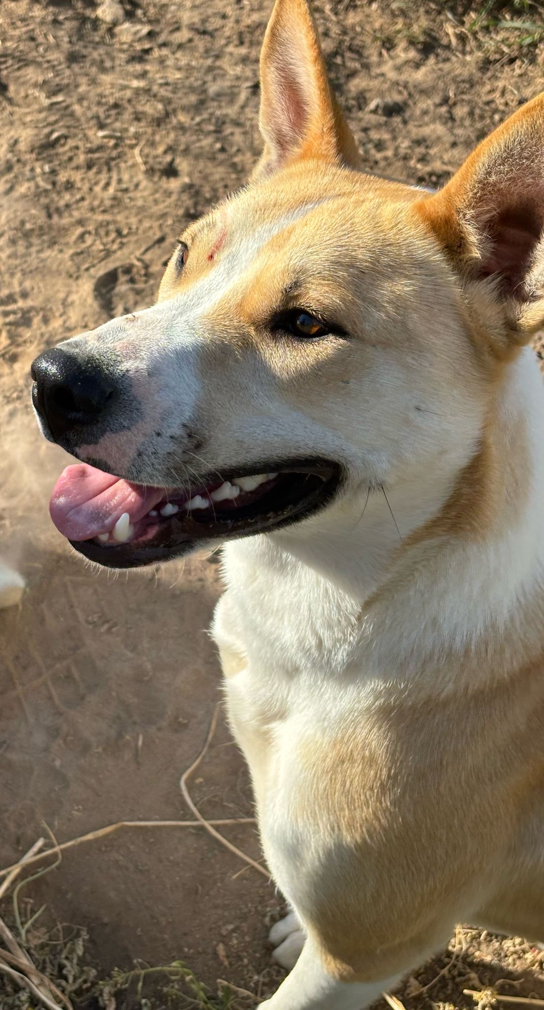 1fcf0e45-c6db-42e7-b524-d09b93373af0