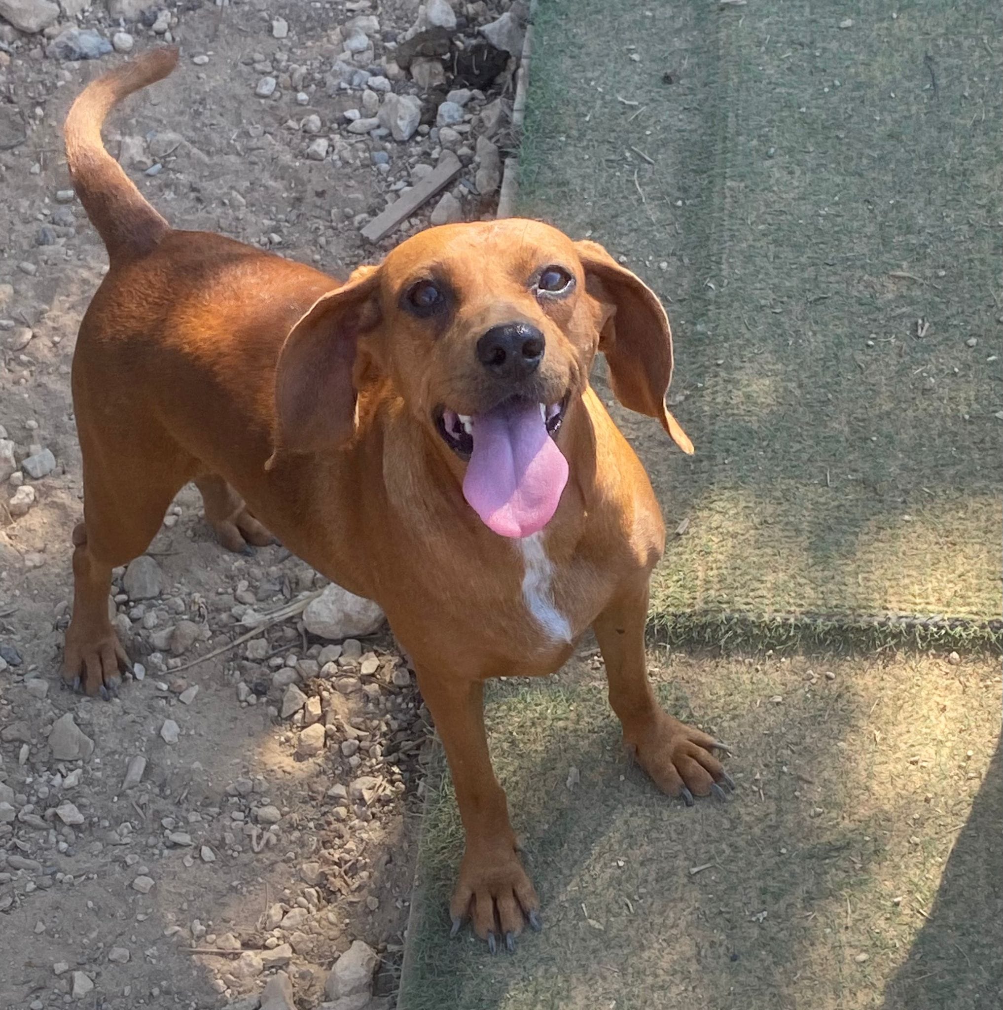 456483373_931930618972988_3116365775662665692_n