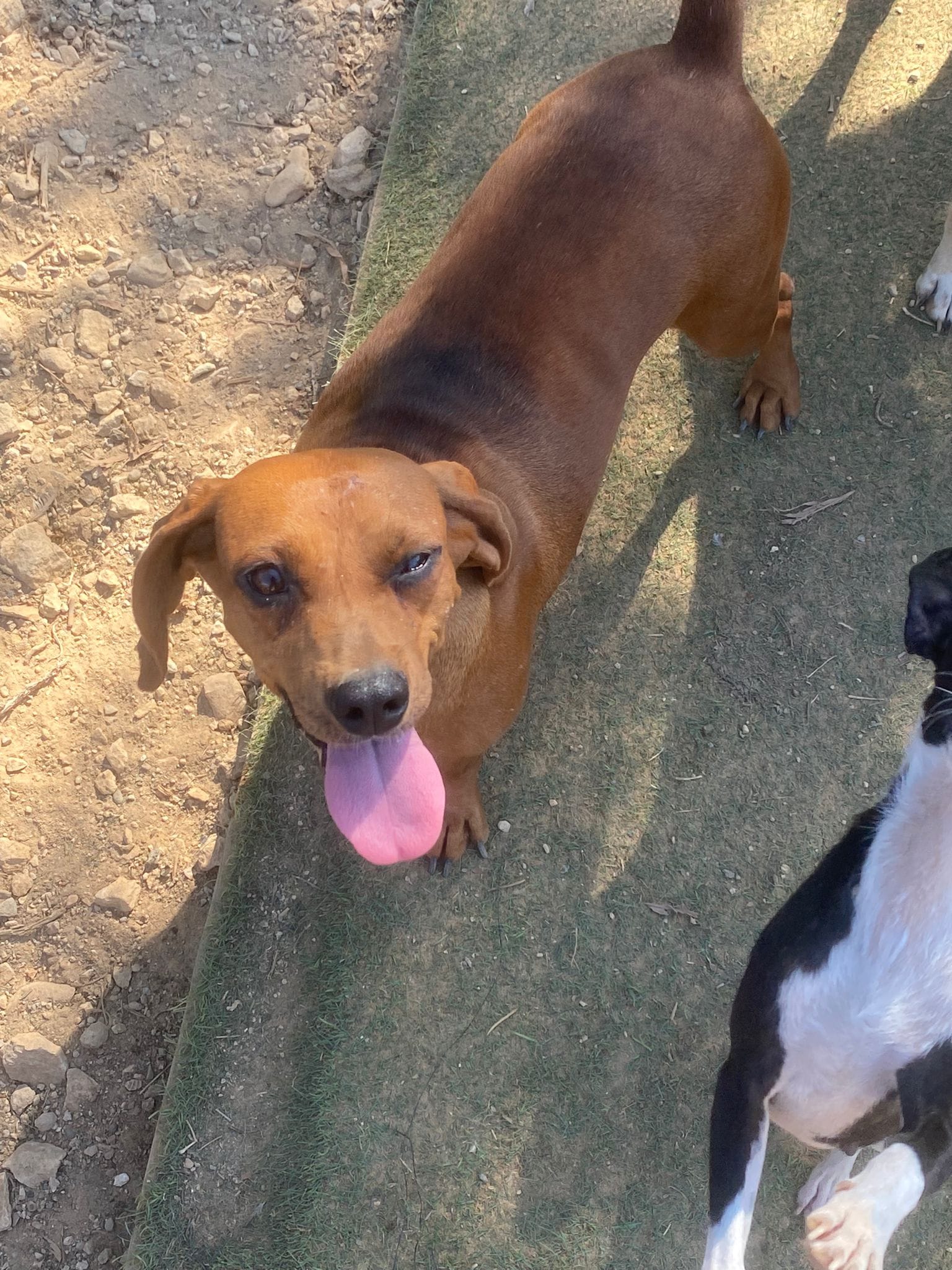 461975866_961632262669490_5554661238229201726_n