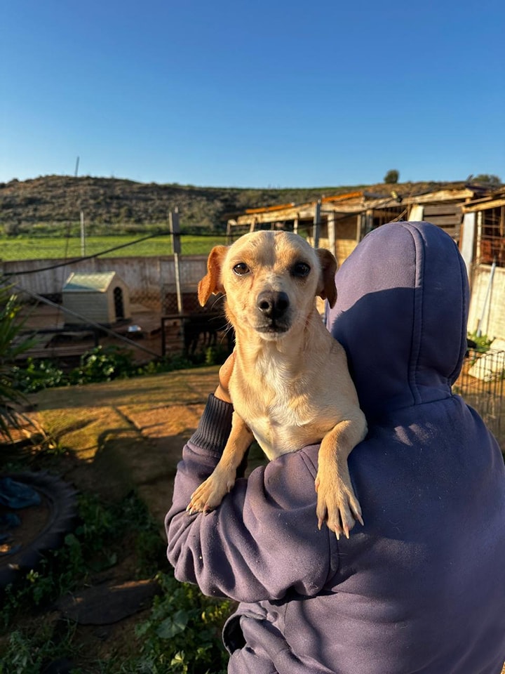 475548421_1049230593909656_3730245553754312208_n