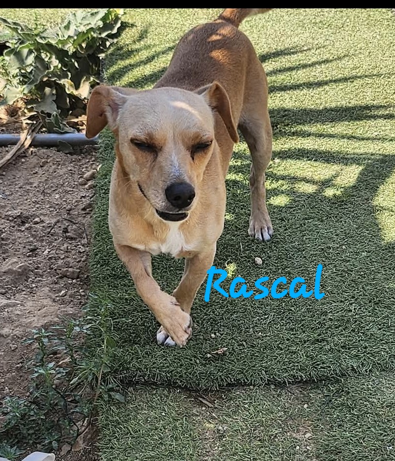 475827556_1048631277302921_5845168221513340800_n