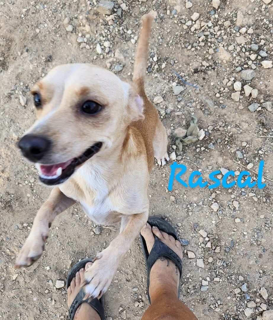 475922005_1048631273969588_7017950239742350122_n