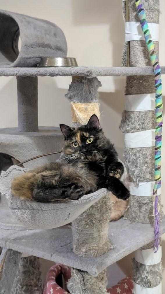 482677888_625849013574777_7764682559861494600_n