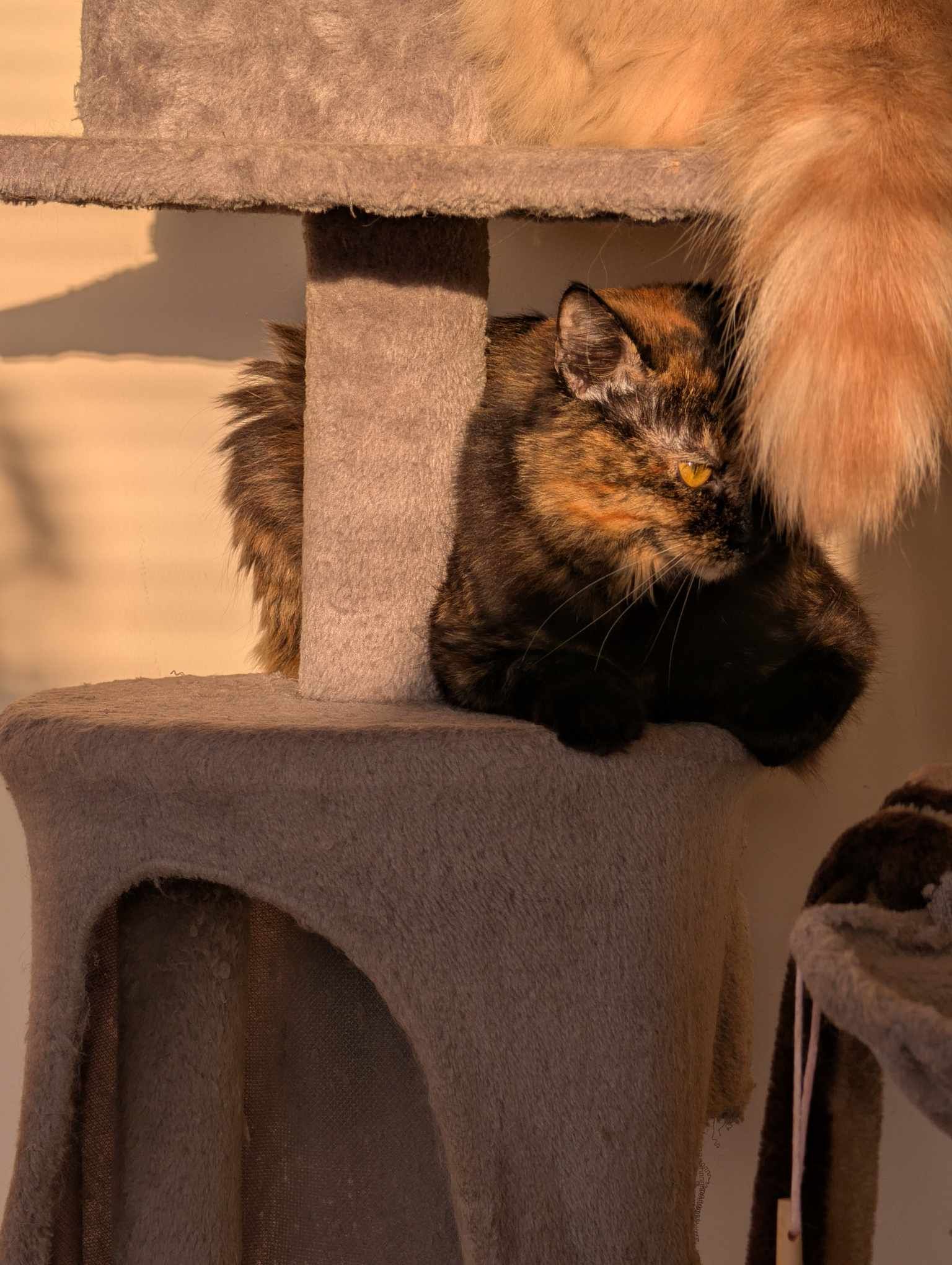 482680059_1306544507130386_7372628779143241135_n