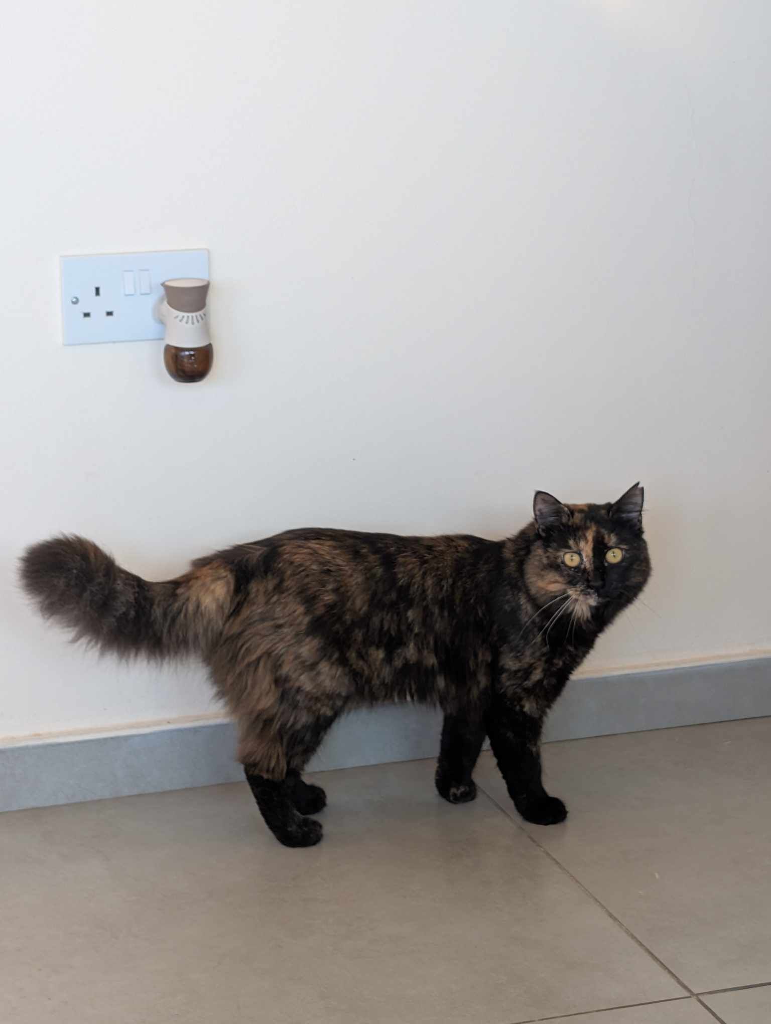 482827013_654316280871894_4212778203316741577_n