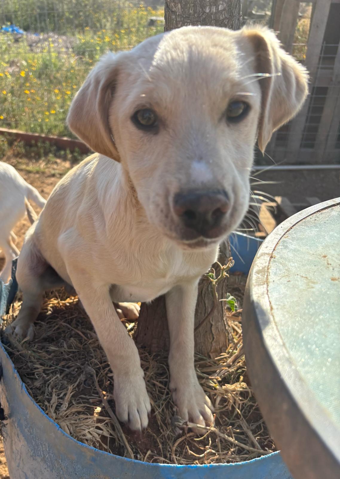 7fd8dff6-9b77-43d8-a2b5-973130c8c5b0