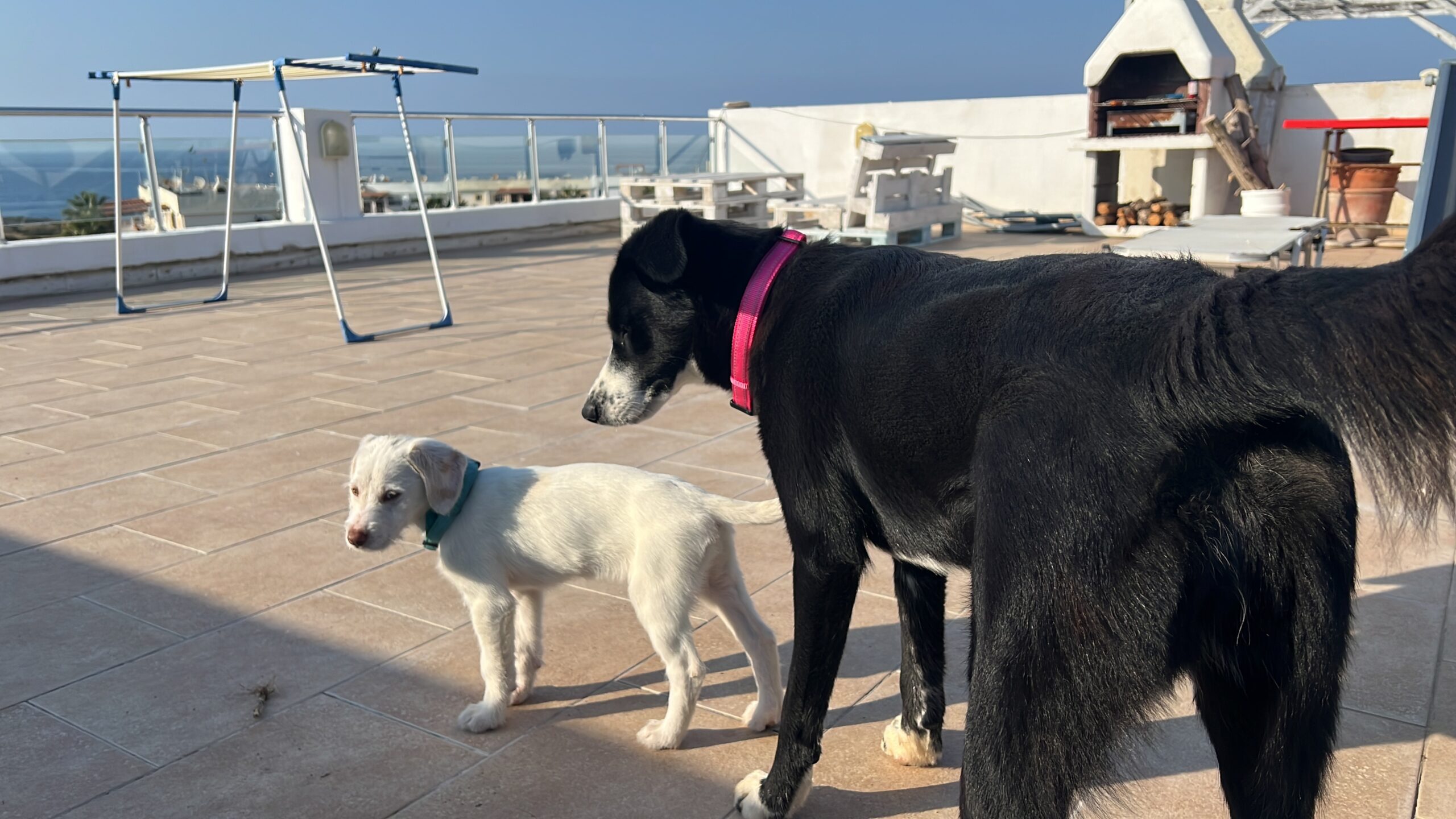 927F96BF-825B-4967-9D54-0B5E1AD69EFA