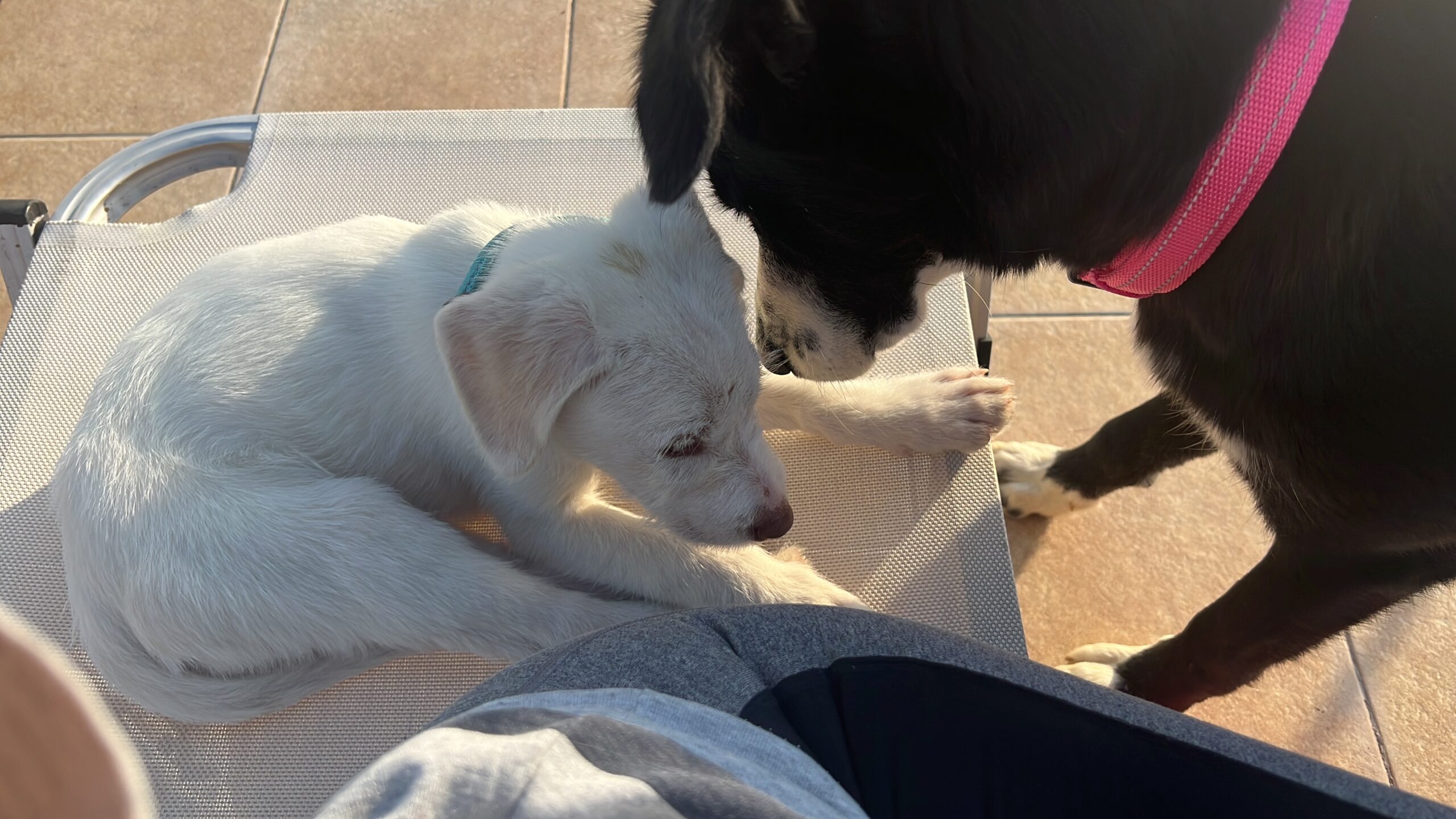 E15ABB0E-2121-4B73-AFBF-067C8131C5EE