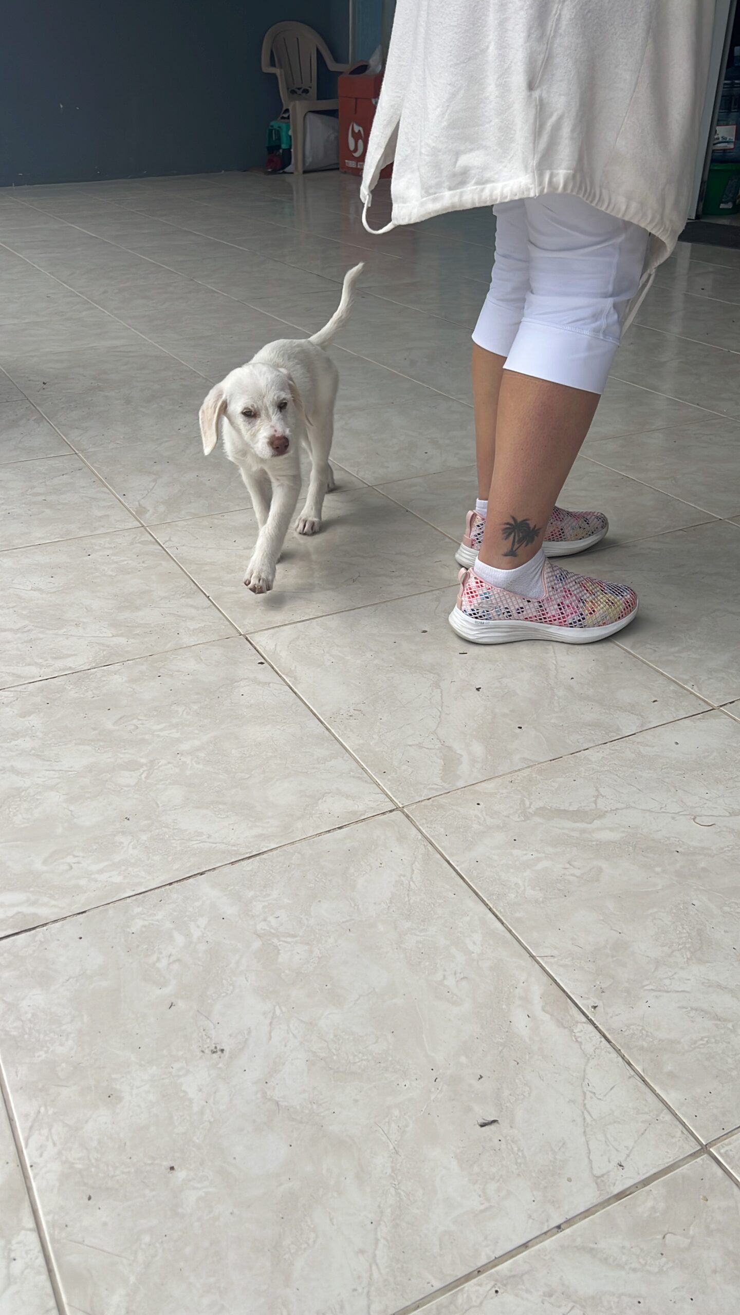 F4C416E5-D394-4A1F-B1B4-8EF8CECD0D7C