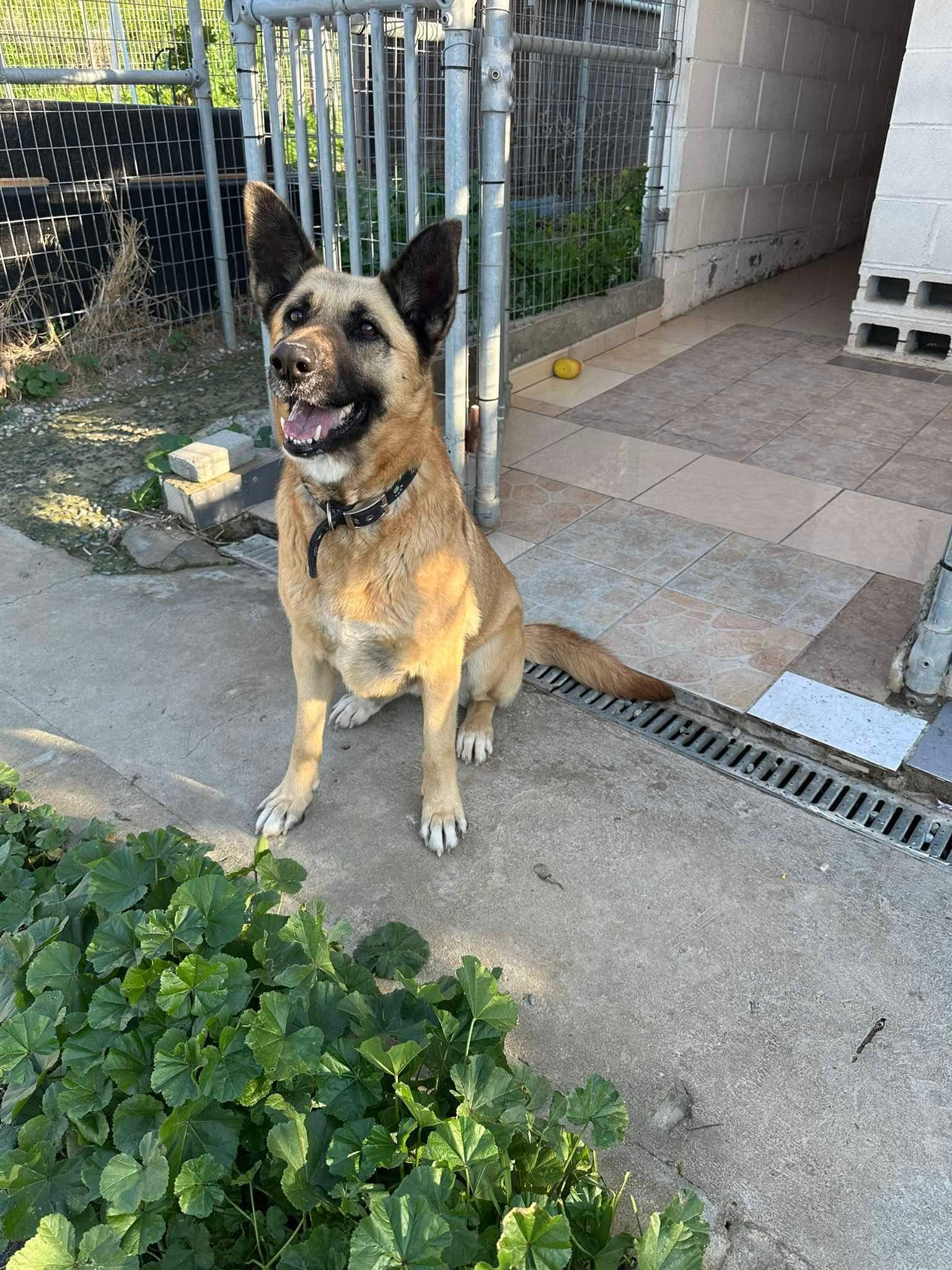 FB_IMG_1736757883482