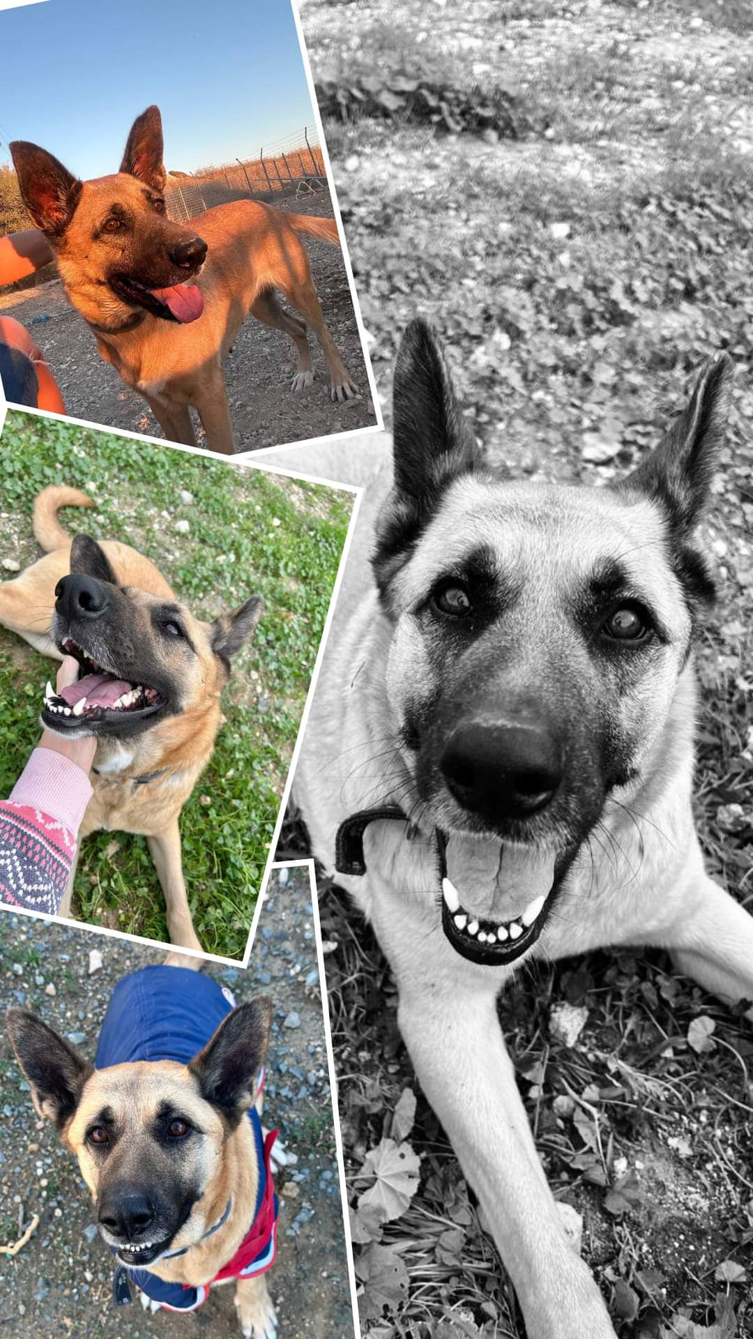 FB_IMG_1736757924556