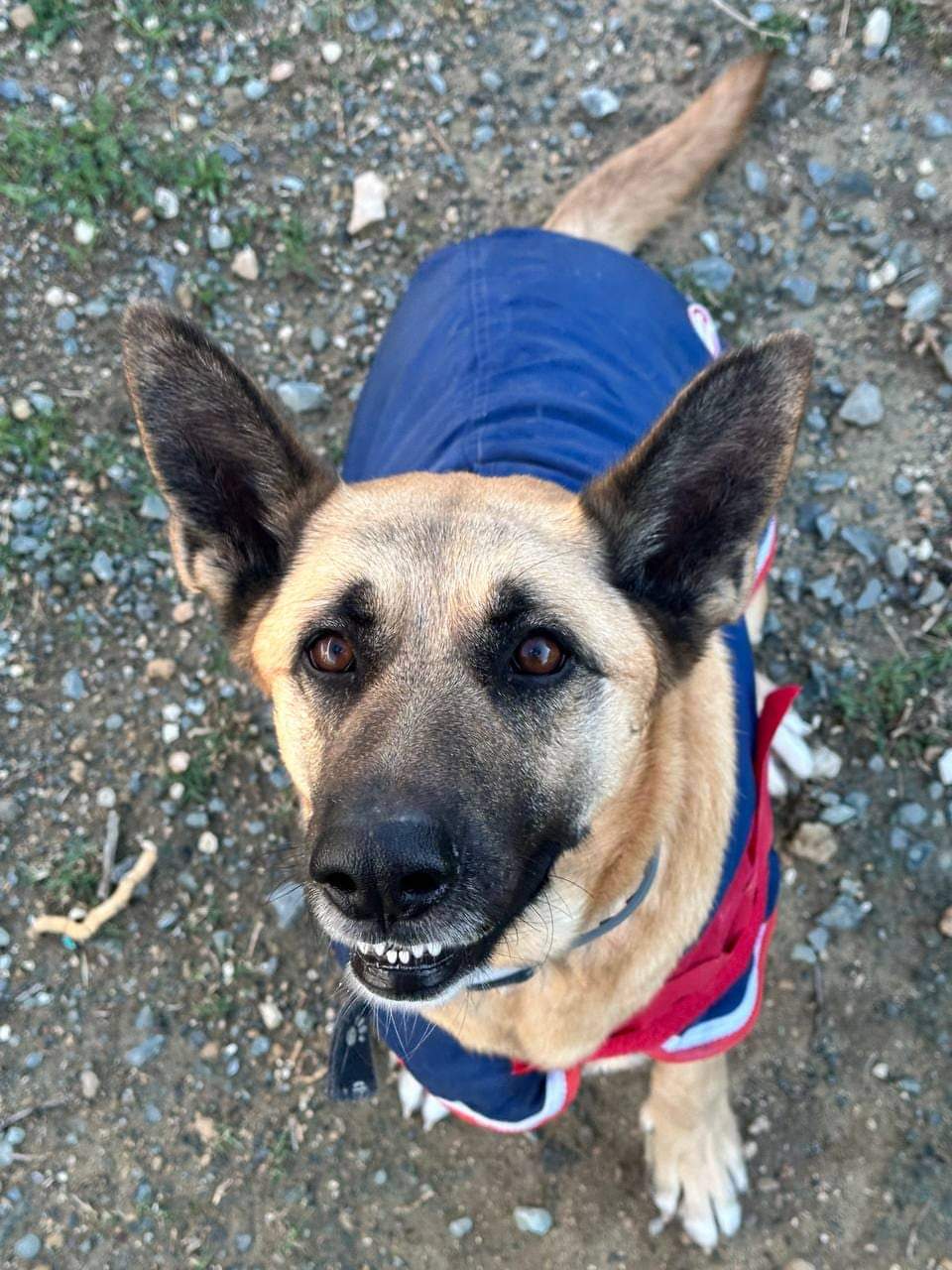 FB_IMG_1736757942391