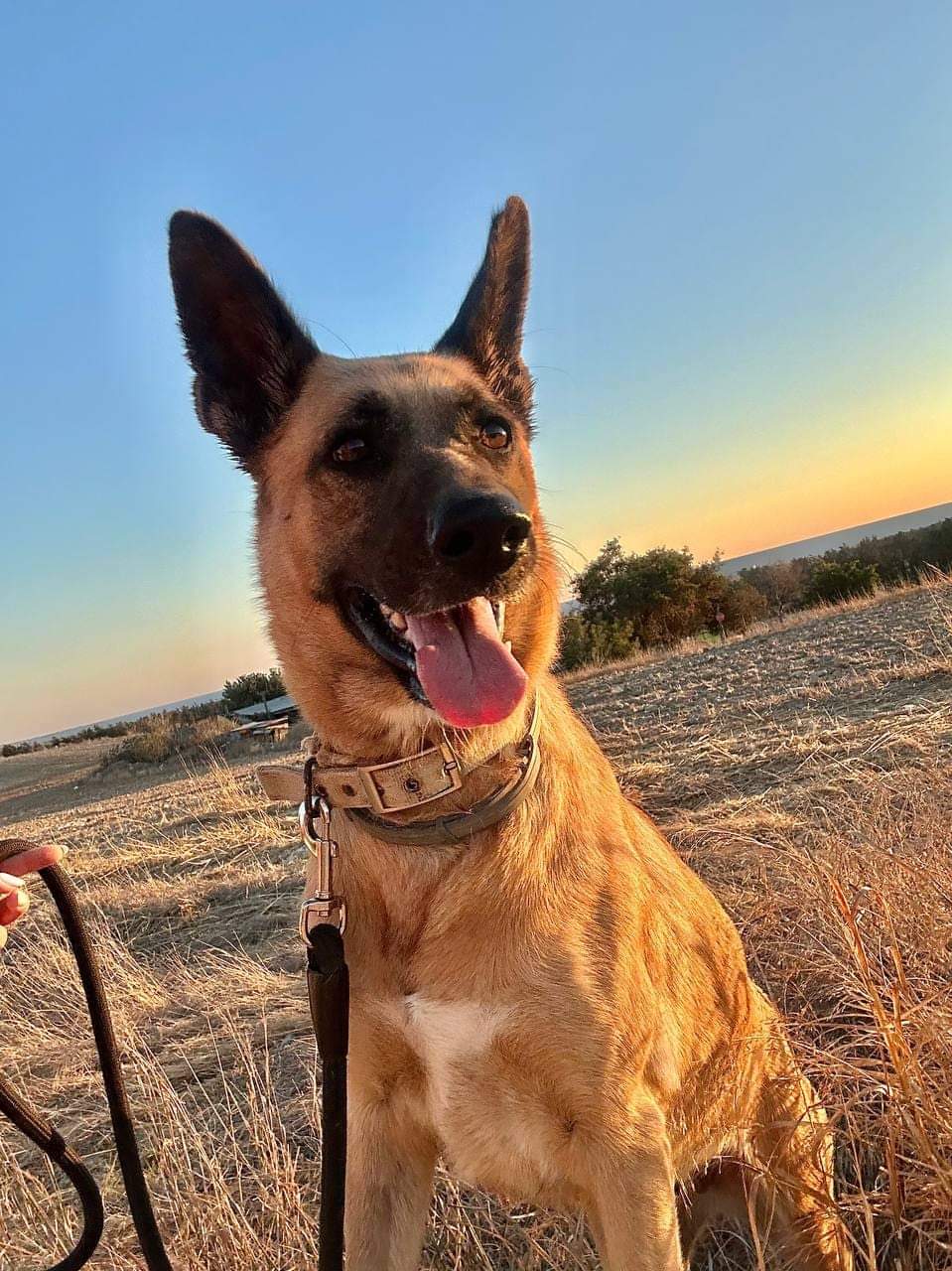 FB_IMG_1736757972283