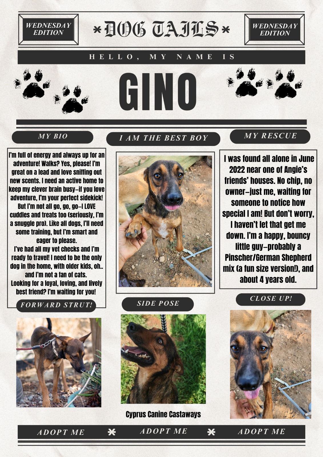 GINOBULLETIN