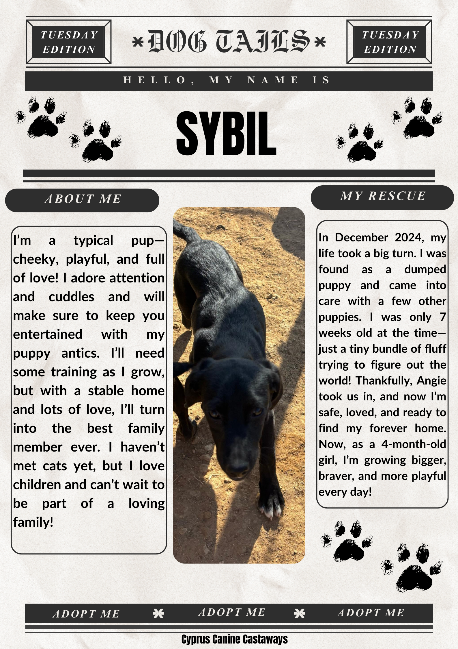 SYBIL-BULLETIN